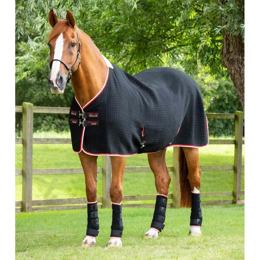 Koszula do suszenia dla koni Premier Equine Premtex