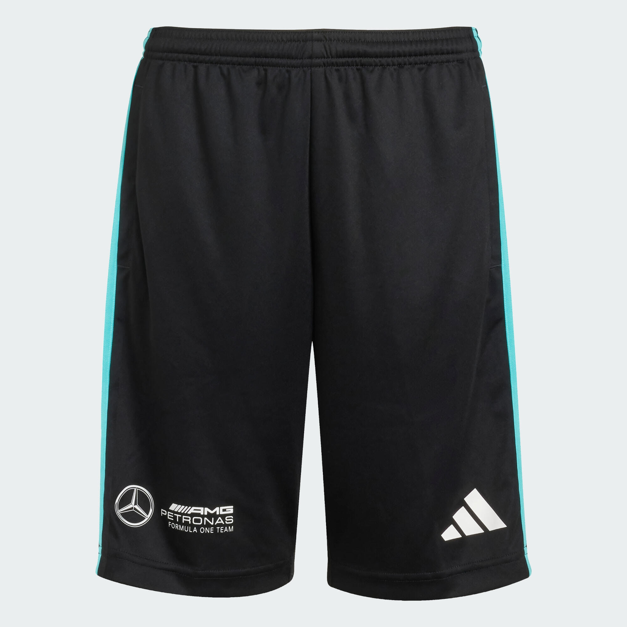 SZORTY MERCEDES - AMG PETRONAS FORMULA ONE TEAM DNA