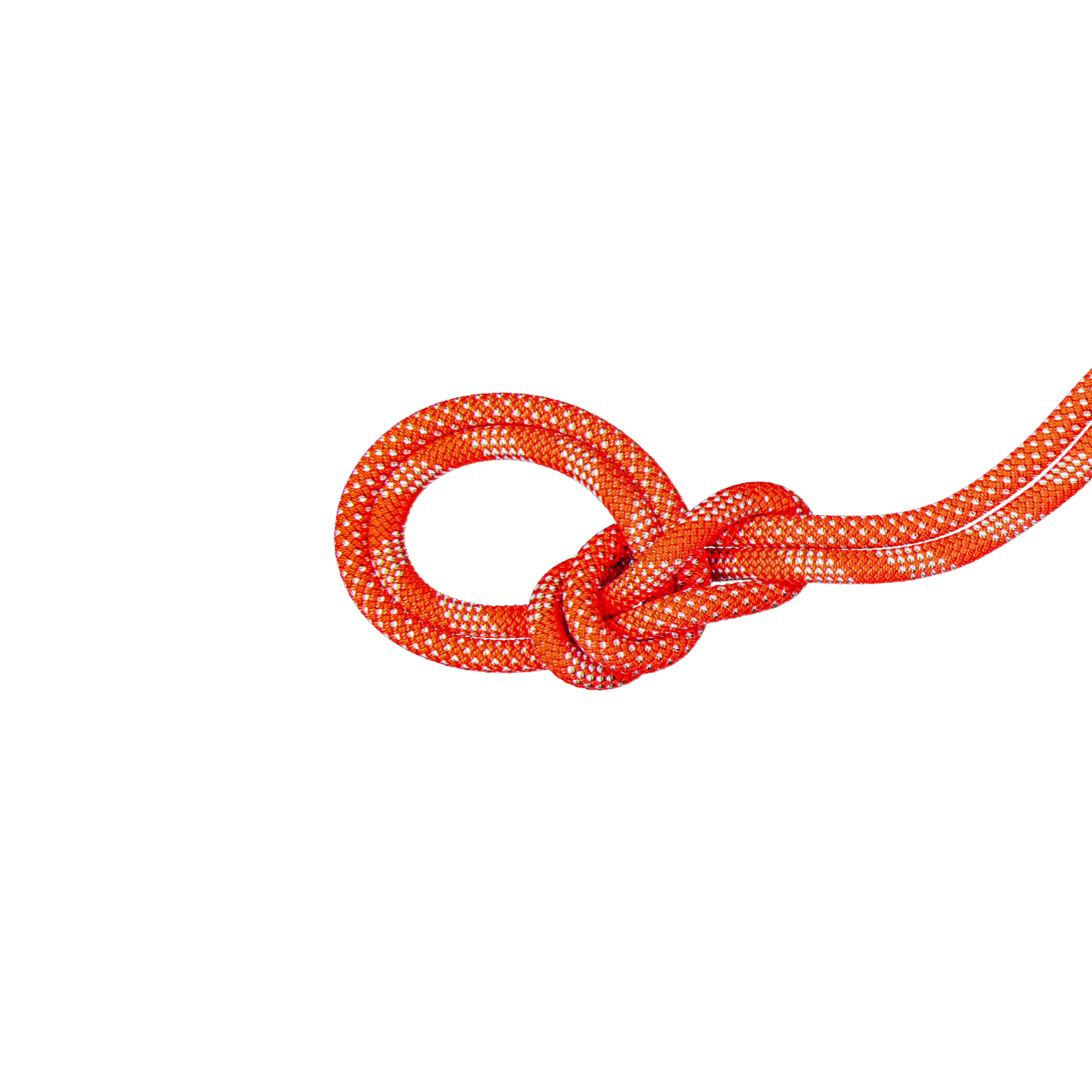 Lina wspinaczkowa Mammut 9.8 Crag Classic