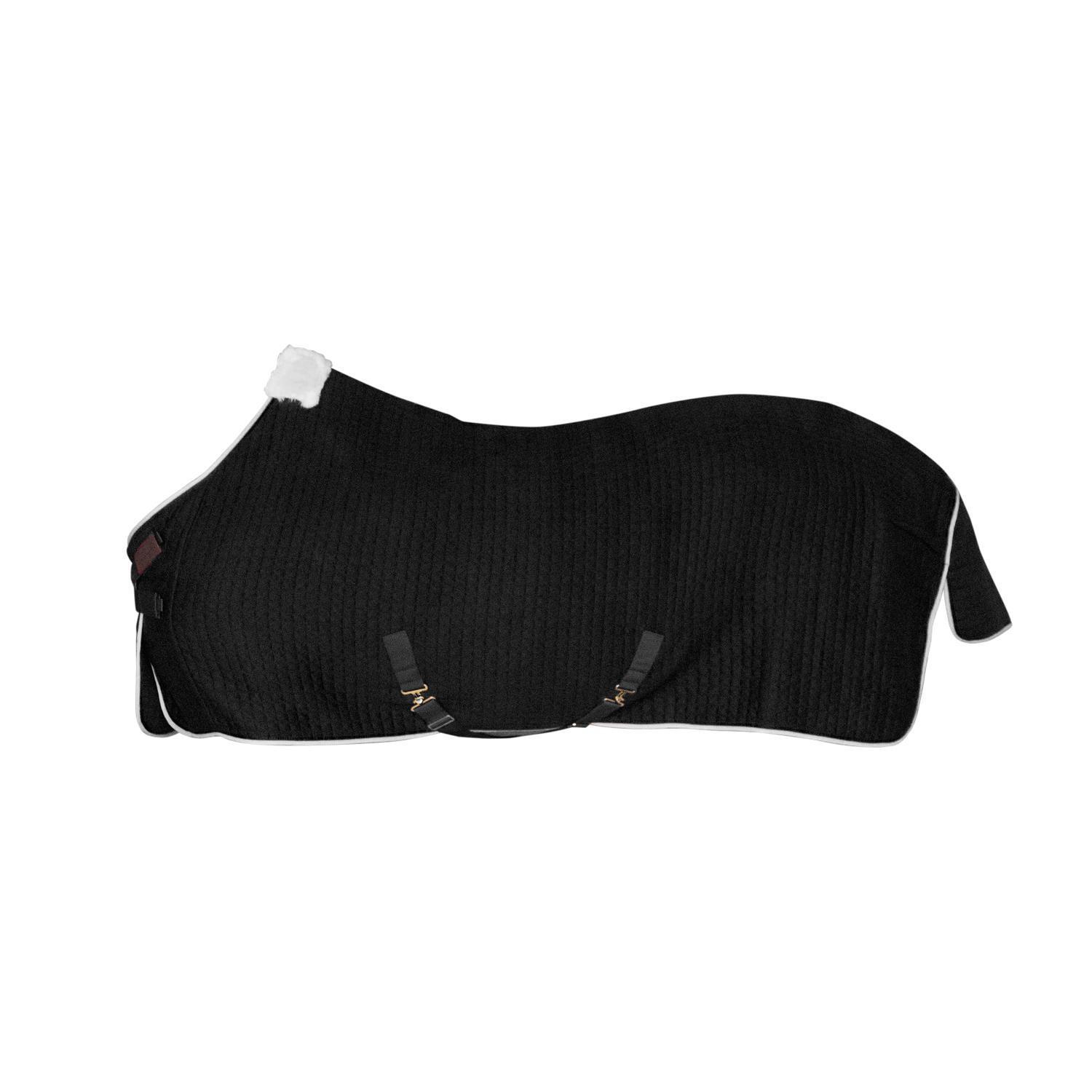 Derka osuszające dla koni Kentucky Horsewear Protherm