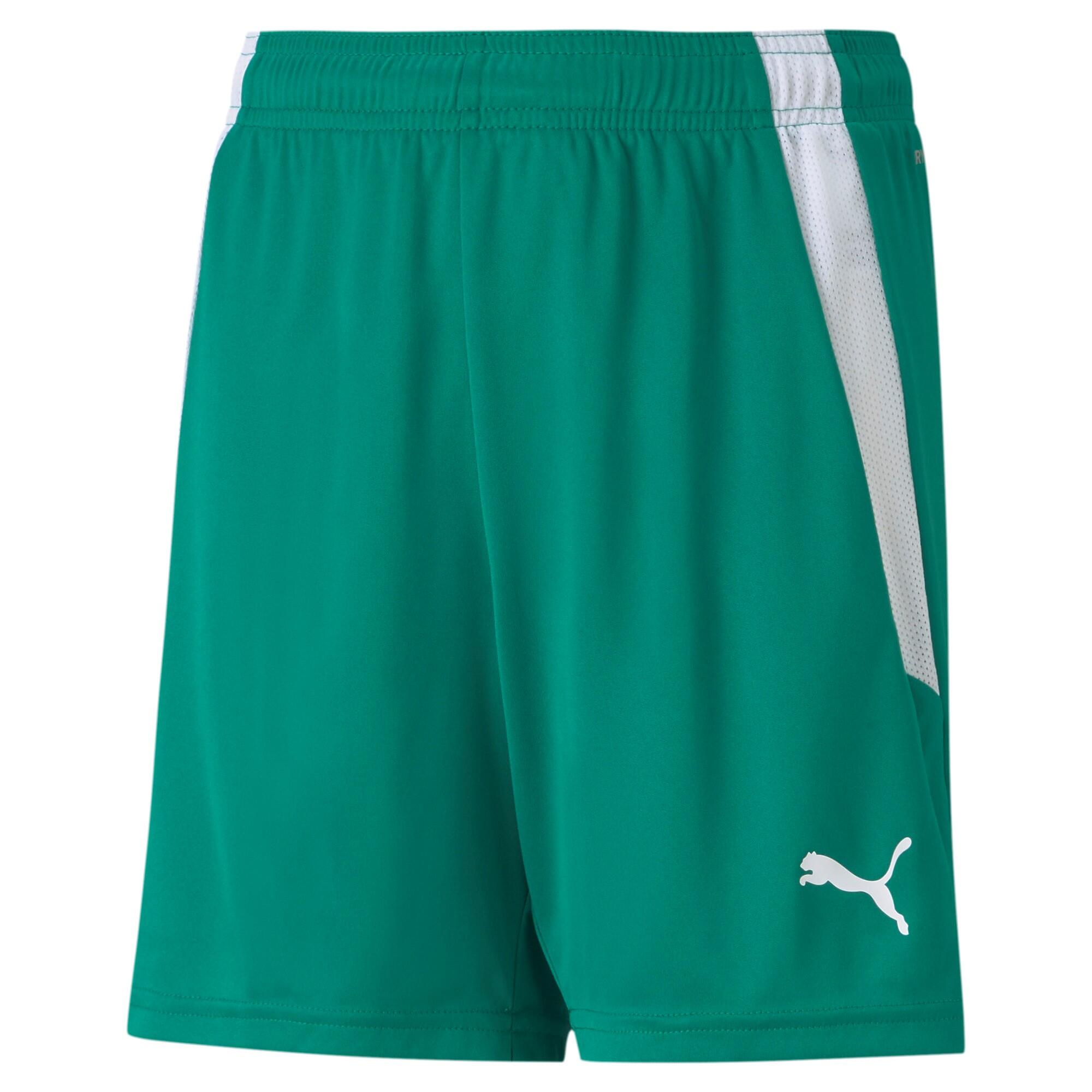 Spodenki dziecięce Puma Team Liga