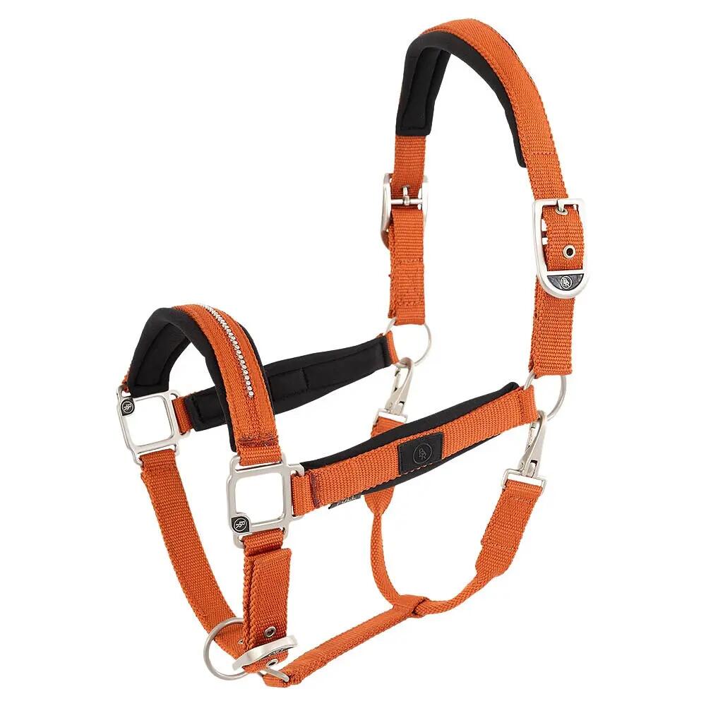 Licol polypropylène BR Equitation Kimberly