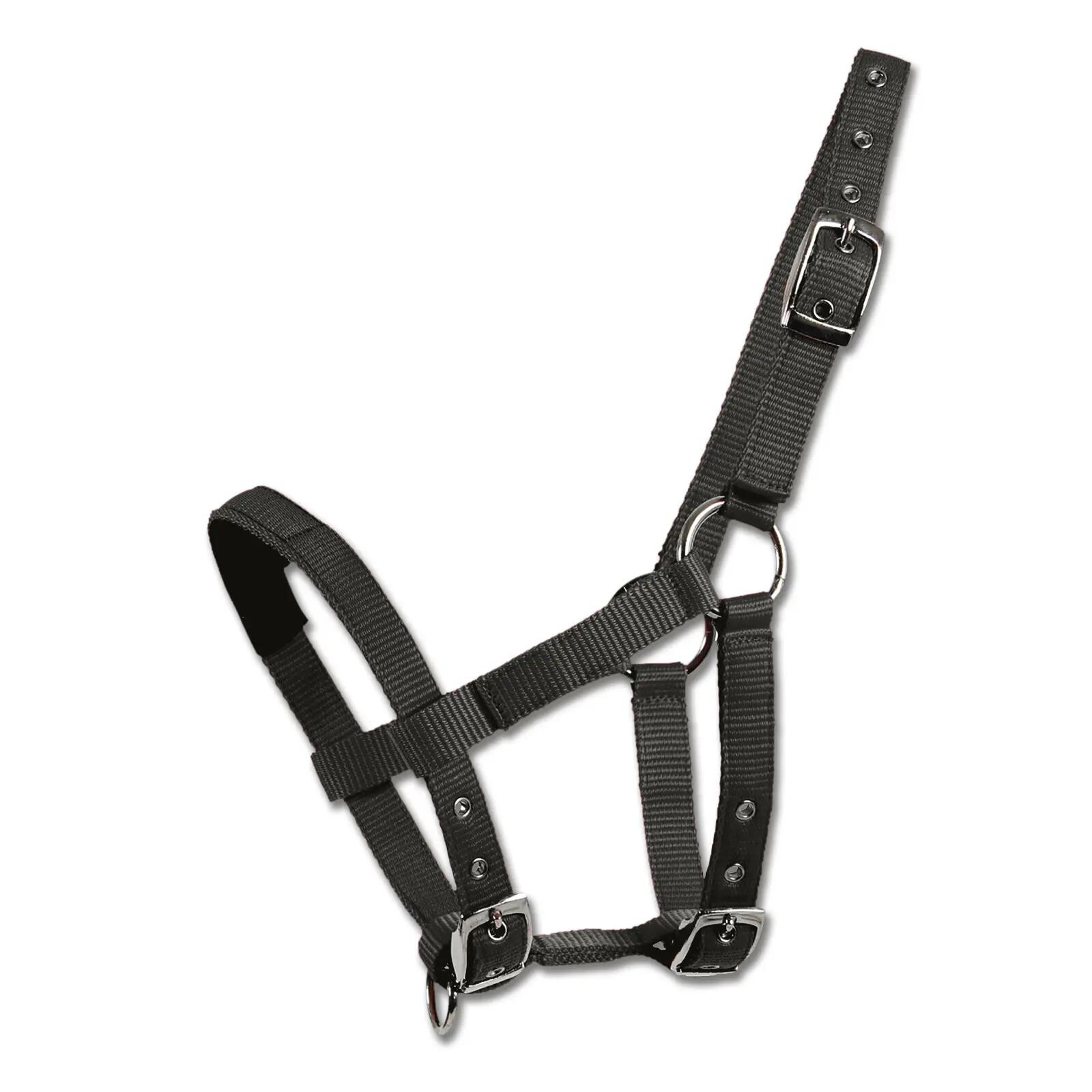 Smycz dla mini-shetty Waldhausen