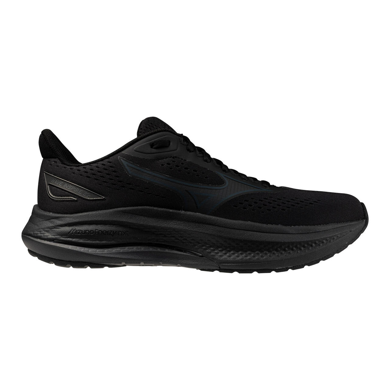 Buty do biegania Mizuno Wave Inspire 22