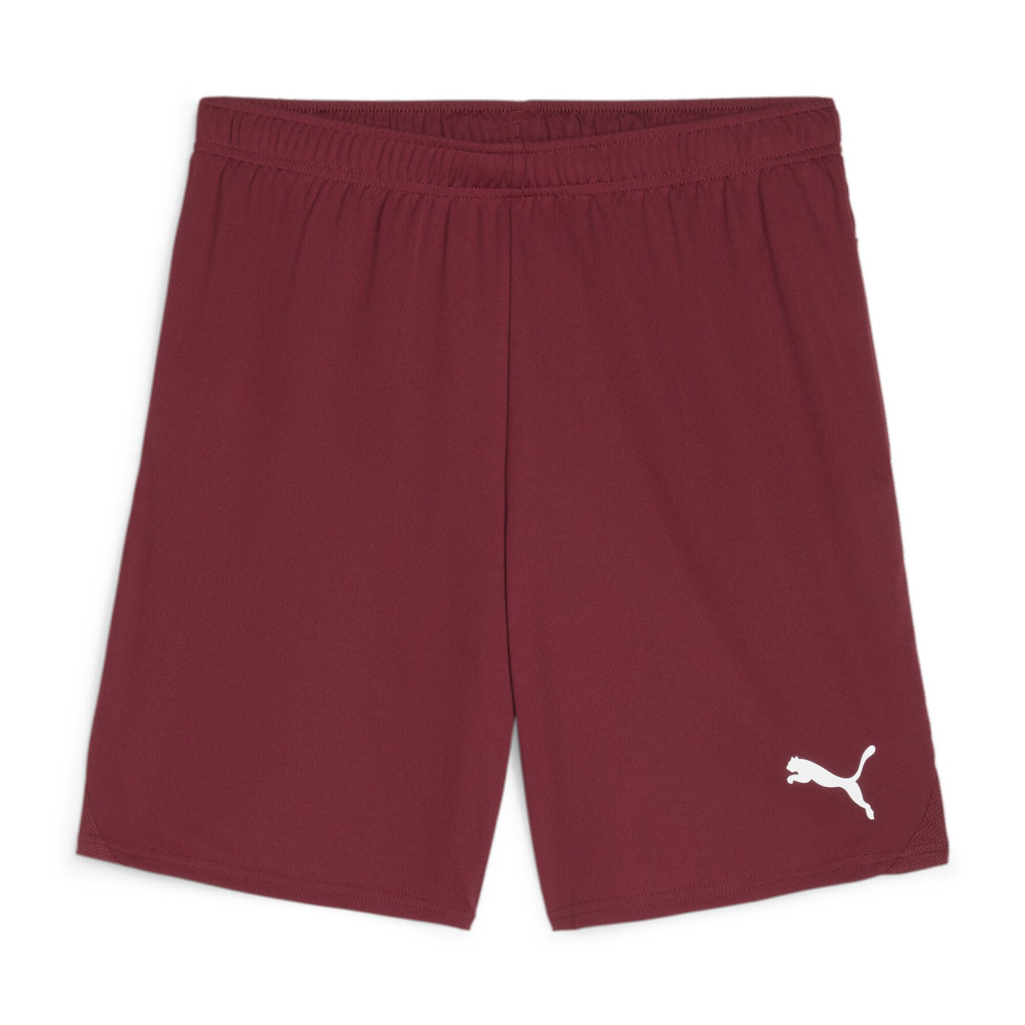 Szorty Puma TeamGloal