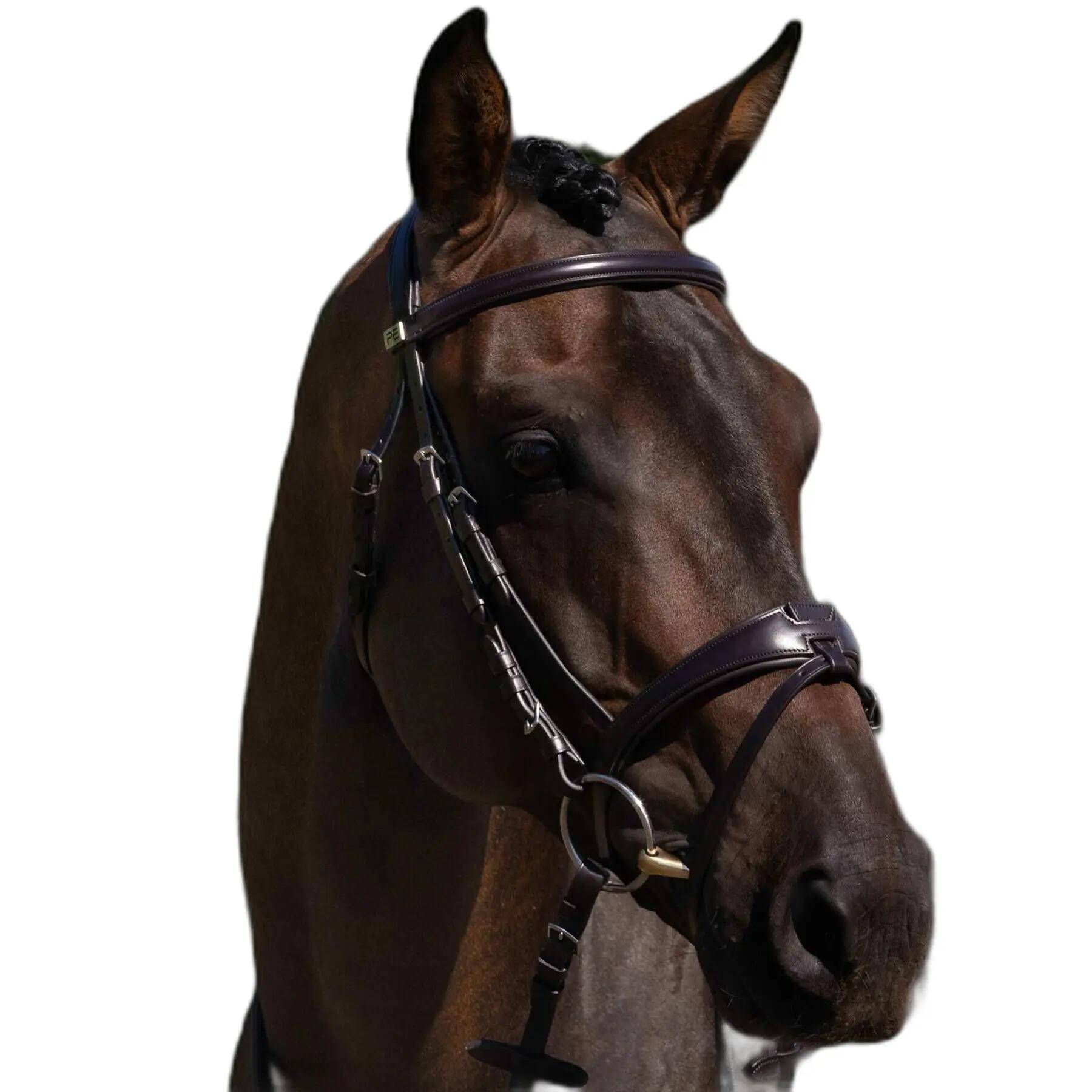 Siodło do jazdy konnej Premier Equine Artana
