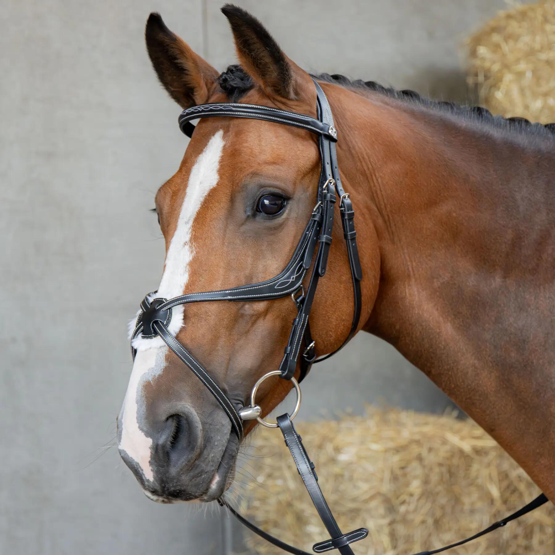 Uzda jeździecka z anatomicznym nachrapnikiem meksykańskim Harry's Horse
