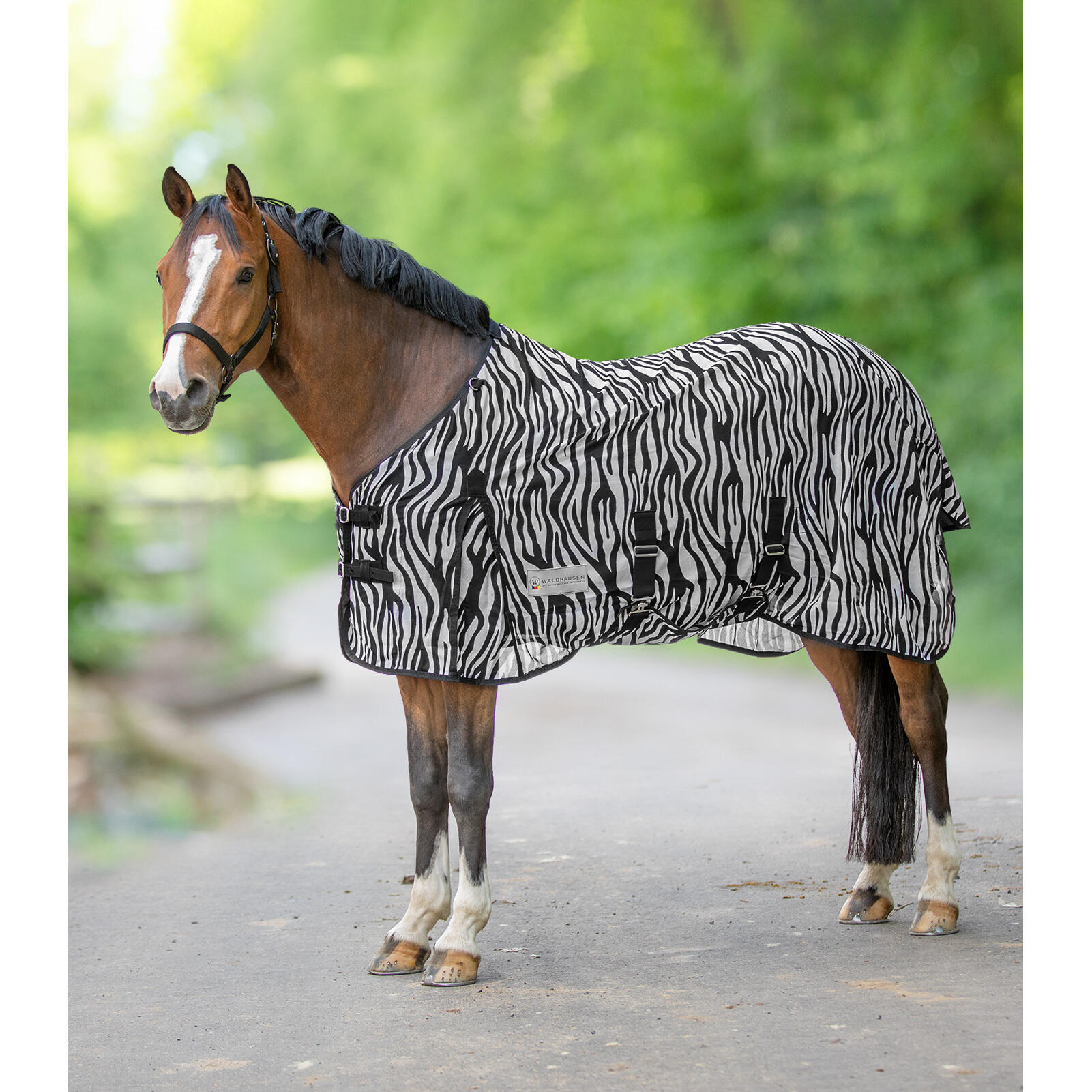 Pokrowiec na muchy dla konia Waldhausen Zebra