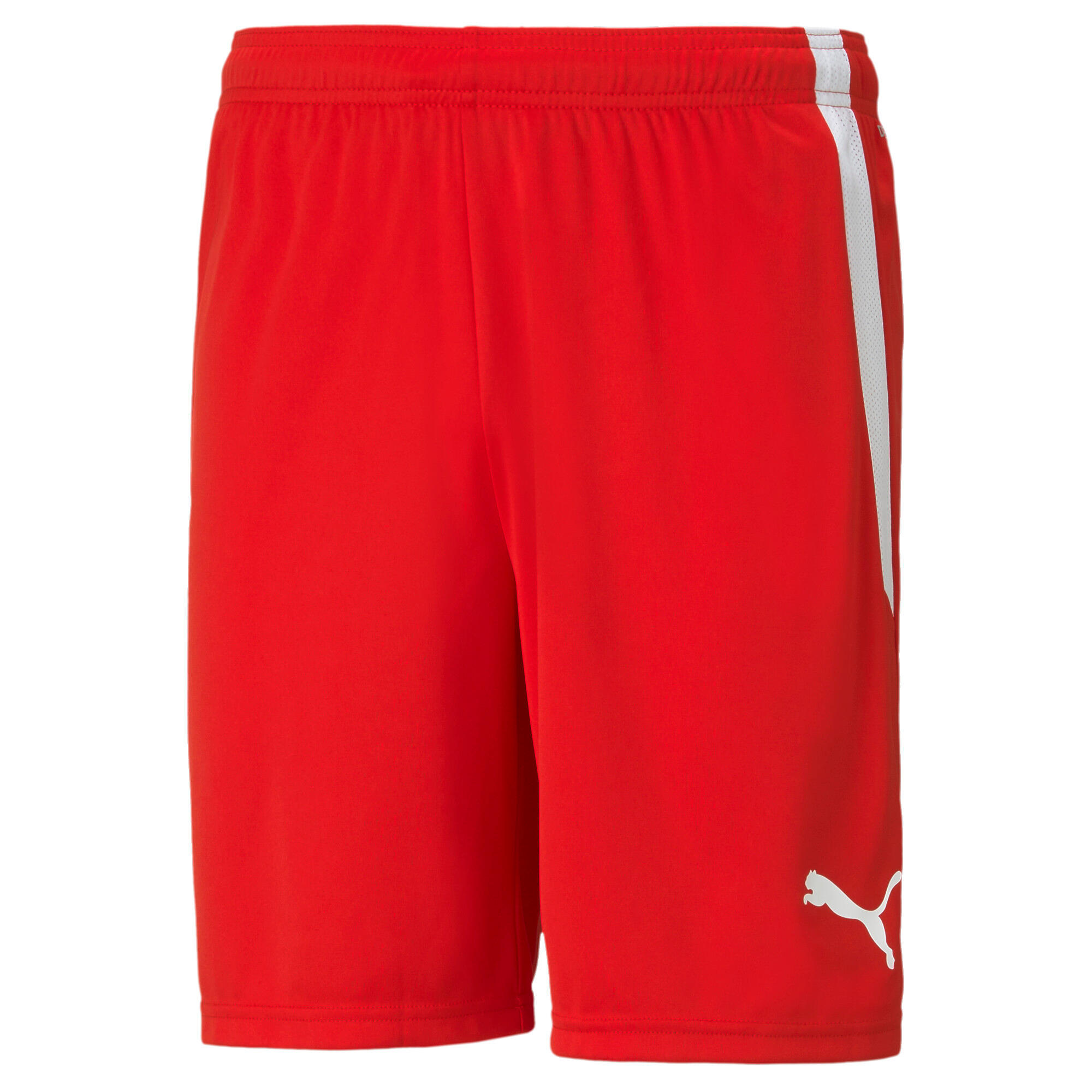 Szorty Puma Team Liga