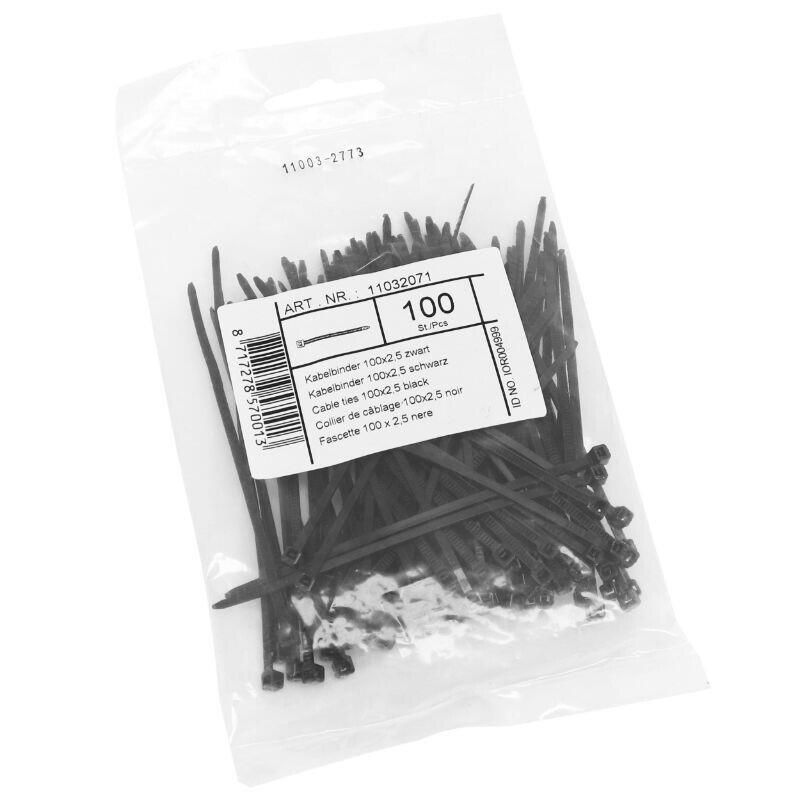 Opakowanie 100 nylonowych zacisków P2R Rilsan 2 5x100 mm