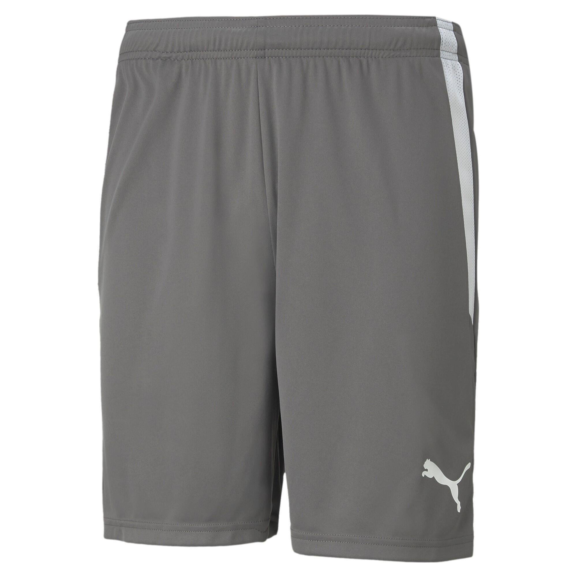 Szorty Puma Teamliga 13 Szorty Dorosłych