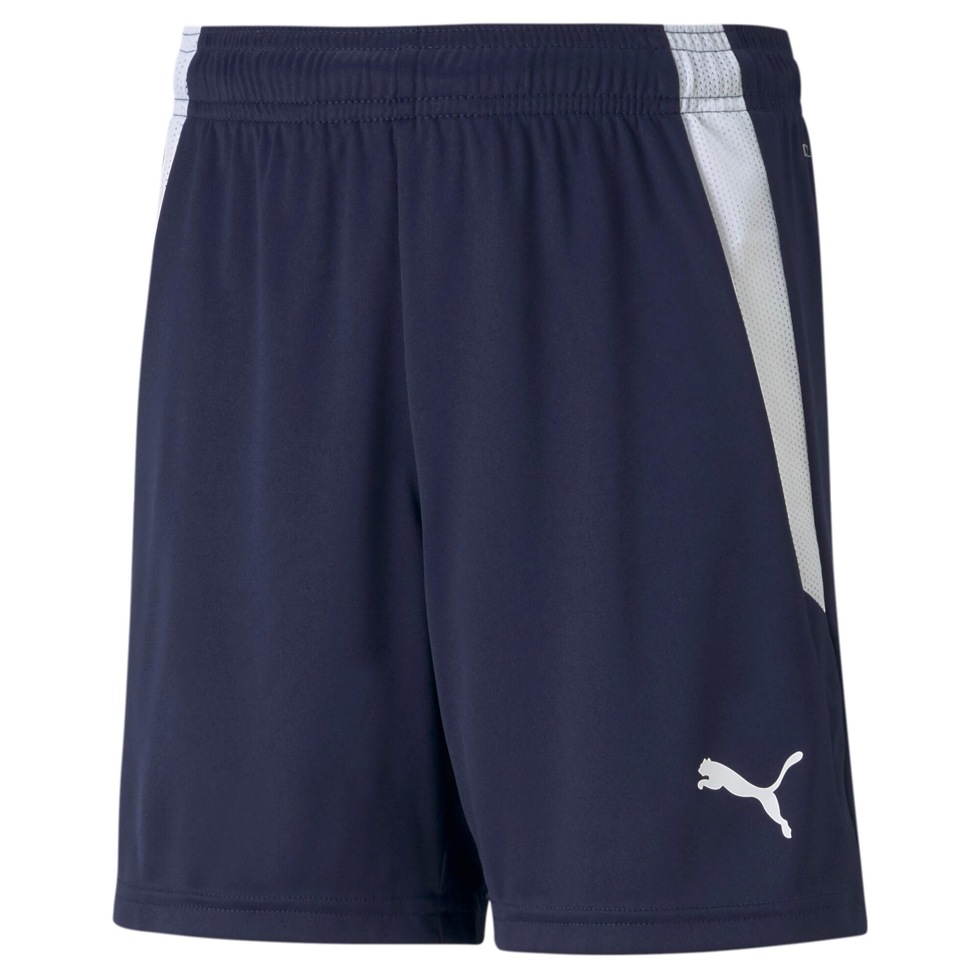 Spodenki dziecięce Puma Team Liga