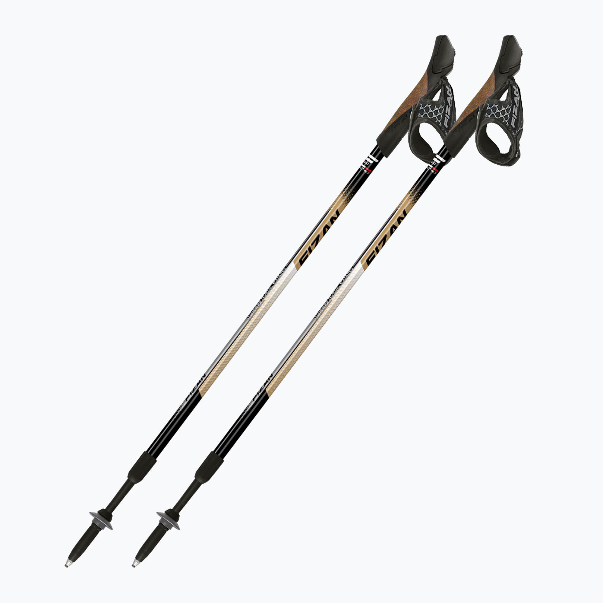 Kije nordic walking Fizan Speed