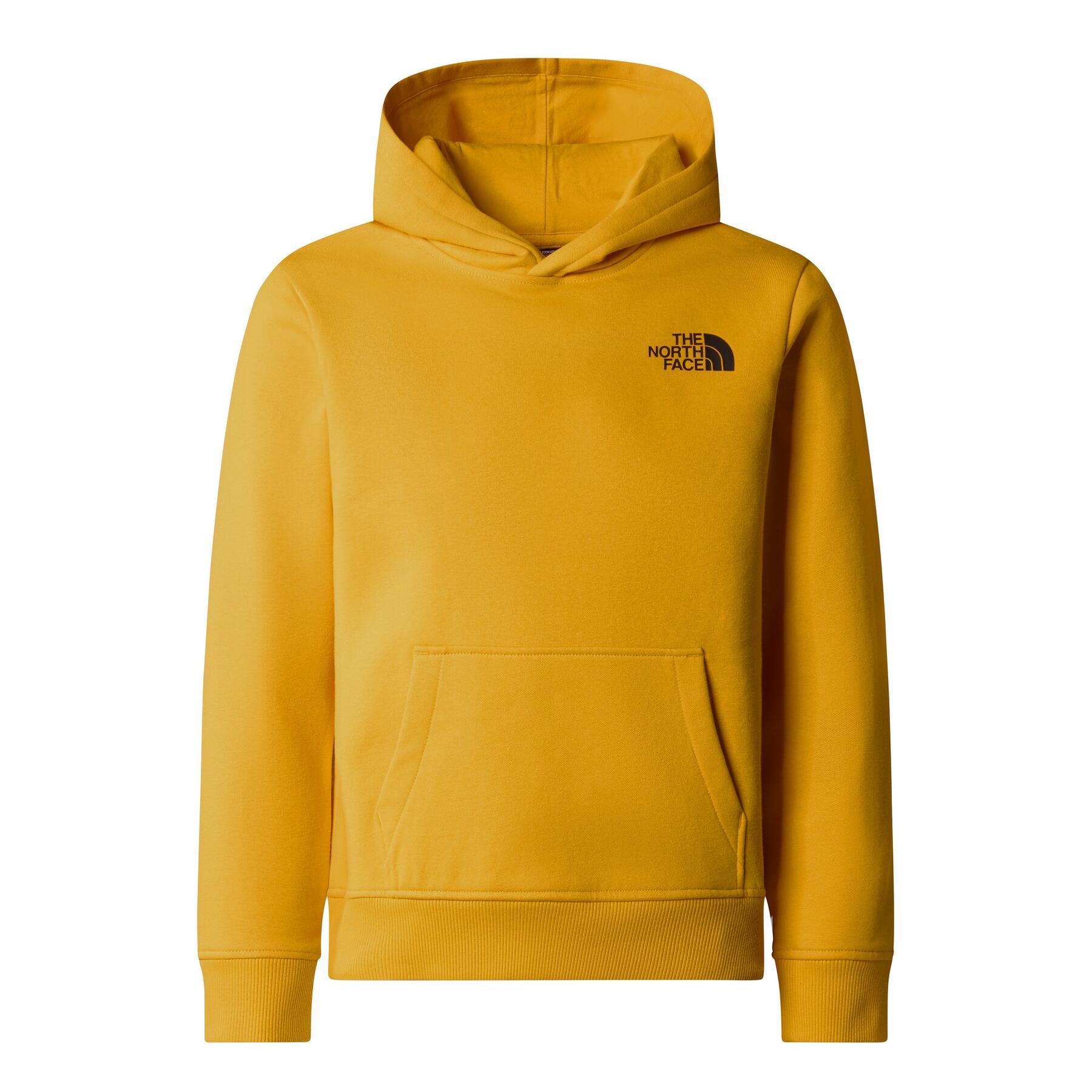 The North Face Bluza Redbox Regular Nf0A89H956P
