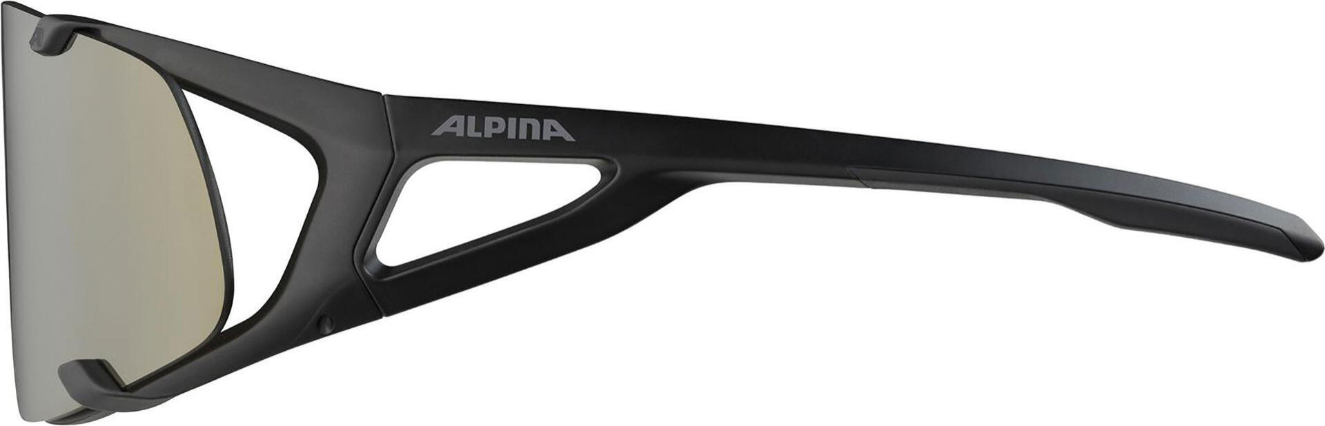 Okulary przeciwsłoneczne Alpina Hawkeye Q-Lite