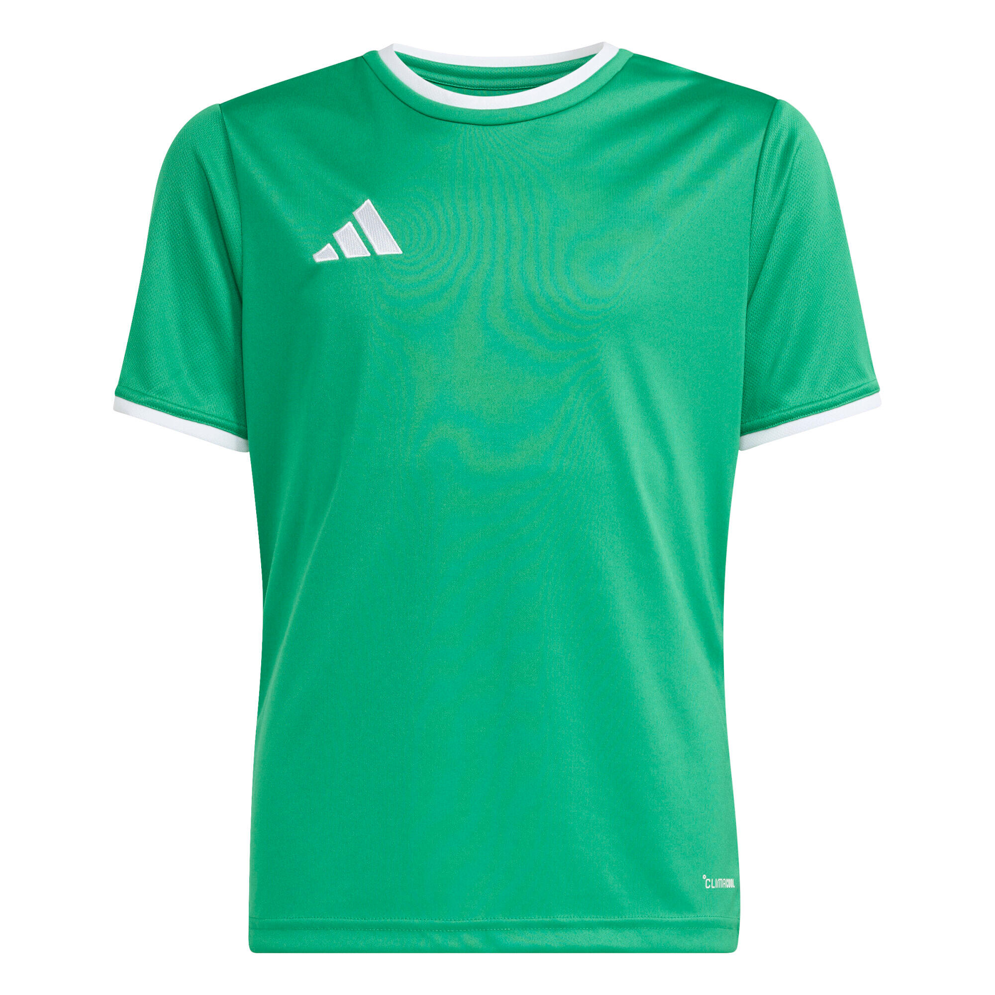 Koszulka dla dzieci adidas Entrada 26 Jersey JZ2528