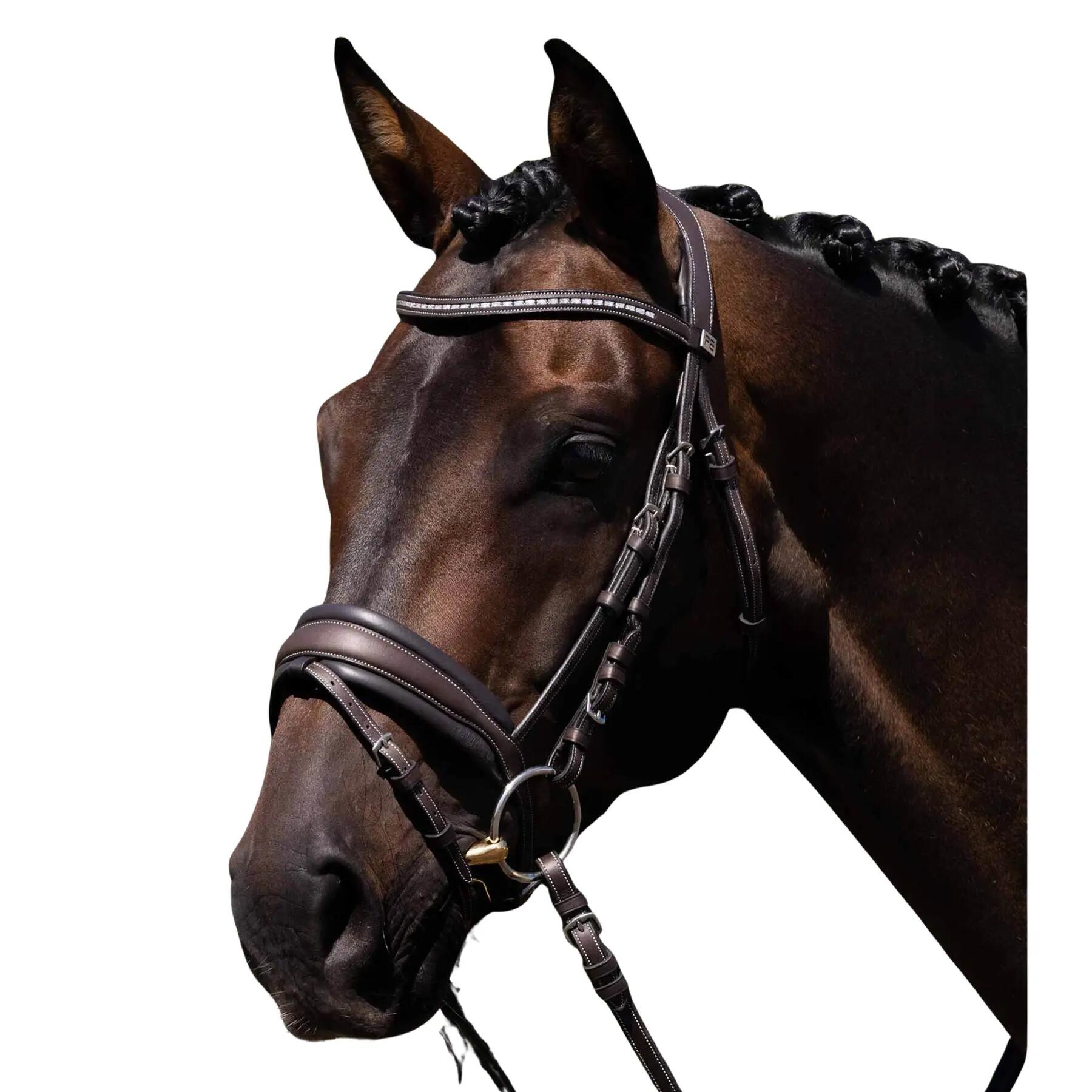 Siodło jeździeckie Premier Equine Veneto