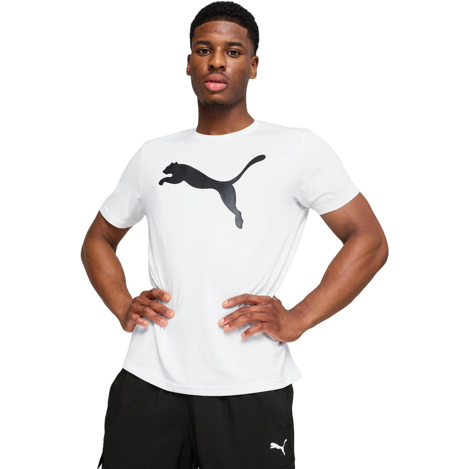 Koszulka męskie Puma M Tad Essentials Solid Cat Tee