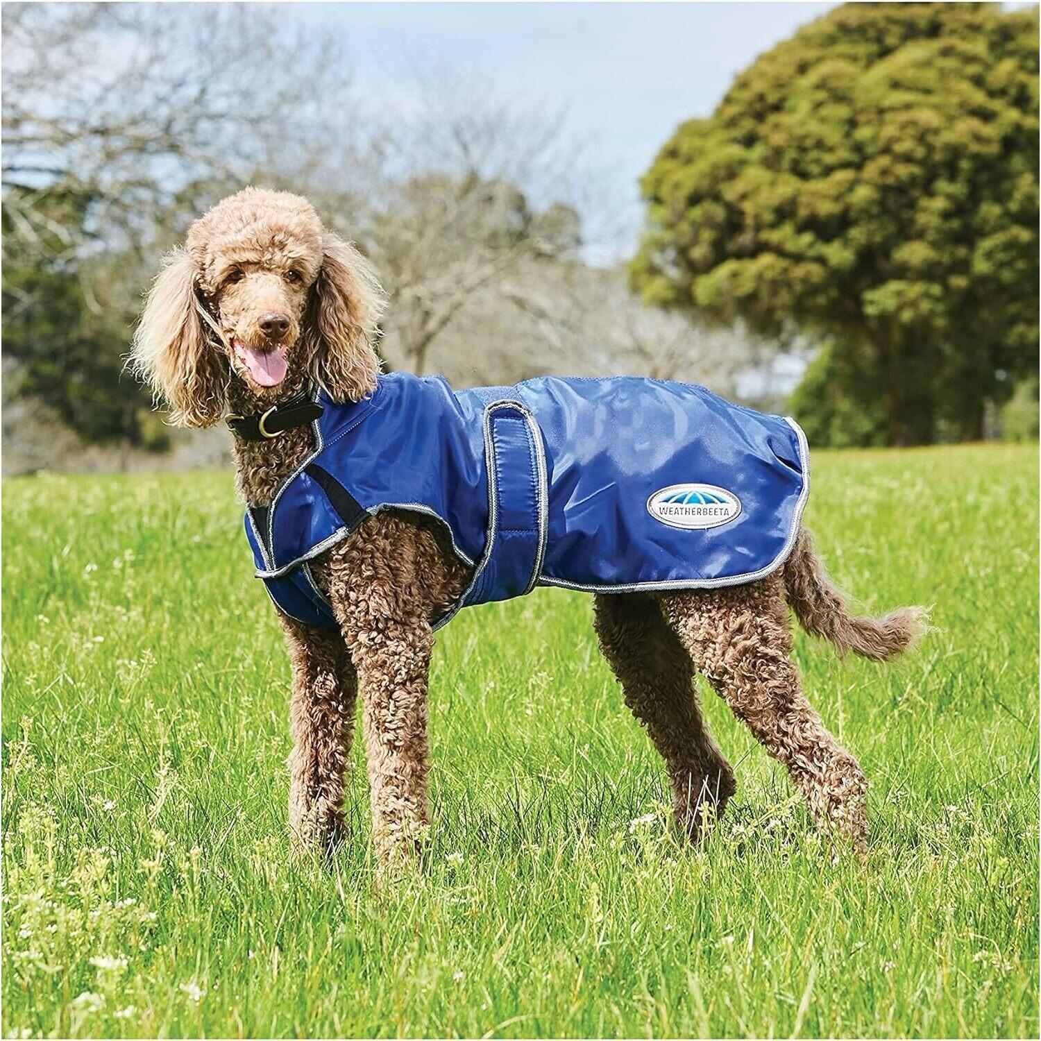 Sierść psa Weatherbeeta ComFiTec Windbreaker Free Deluxe