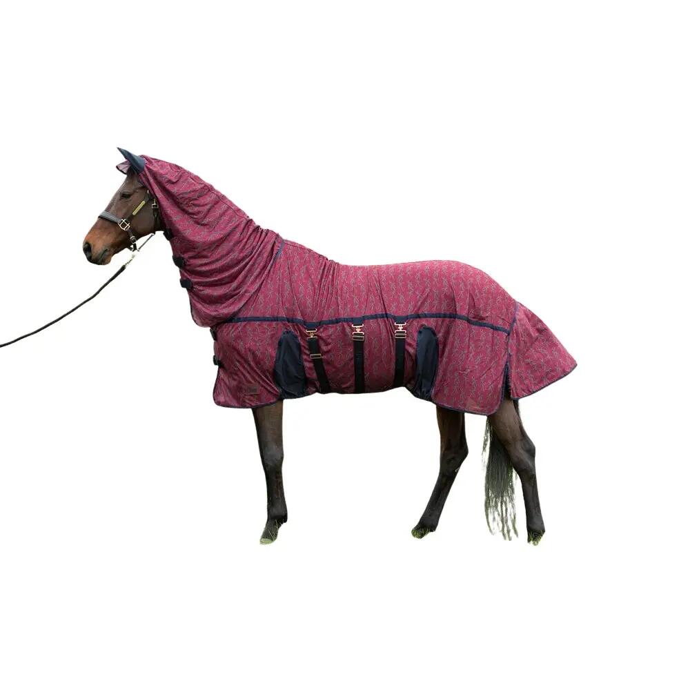 Ujścia treningowe dla konia Harry's Horse