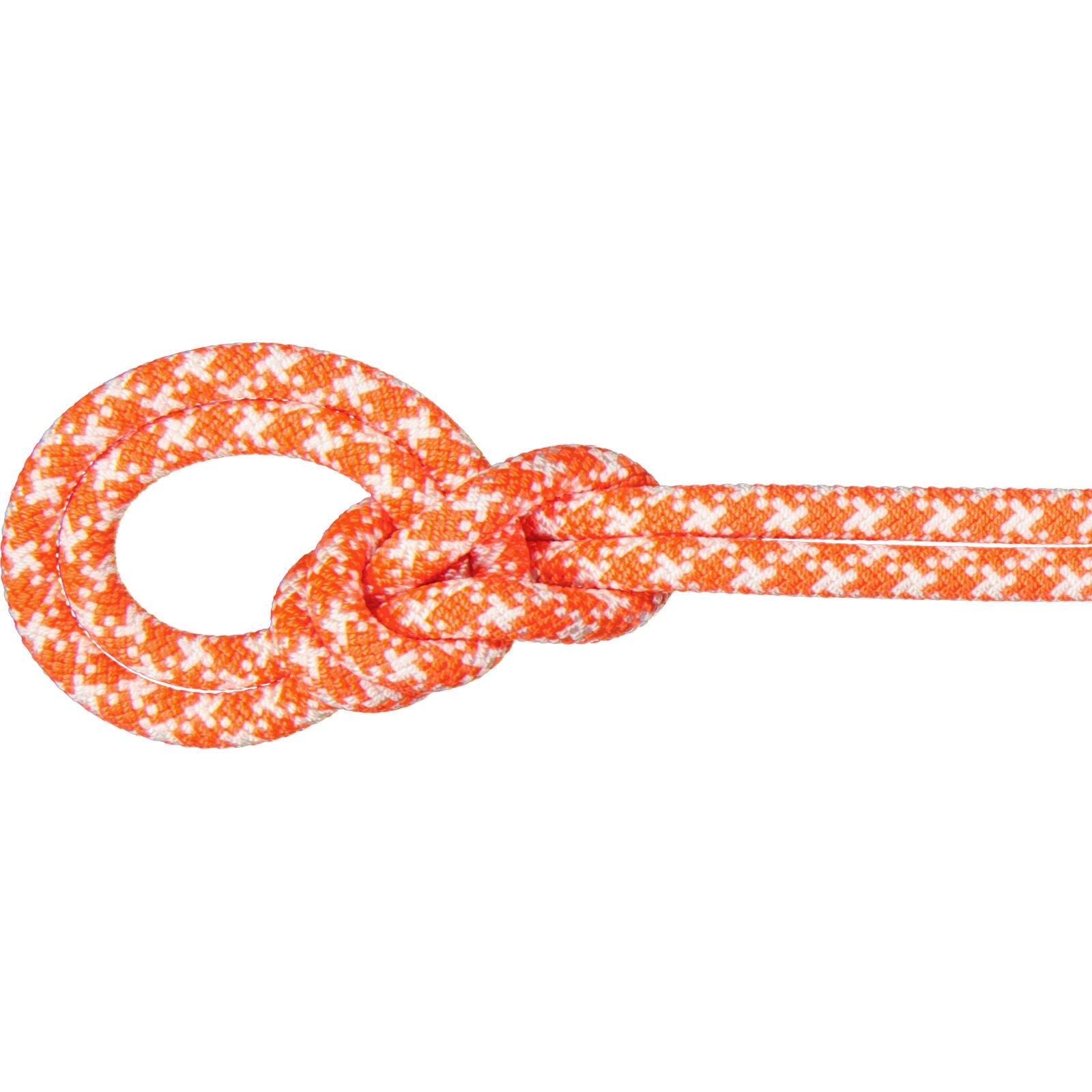 Lina wspinaczkowa Mammut 9.5 Crag Classic Rope