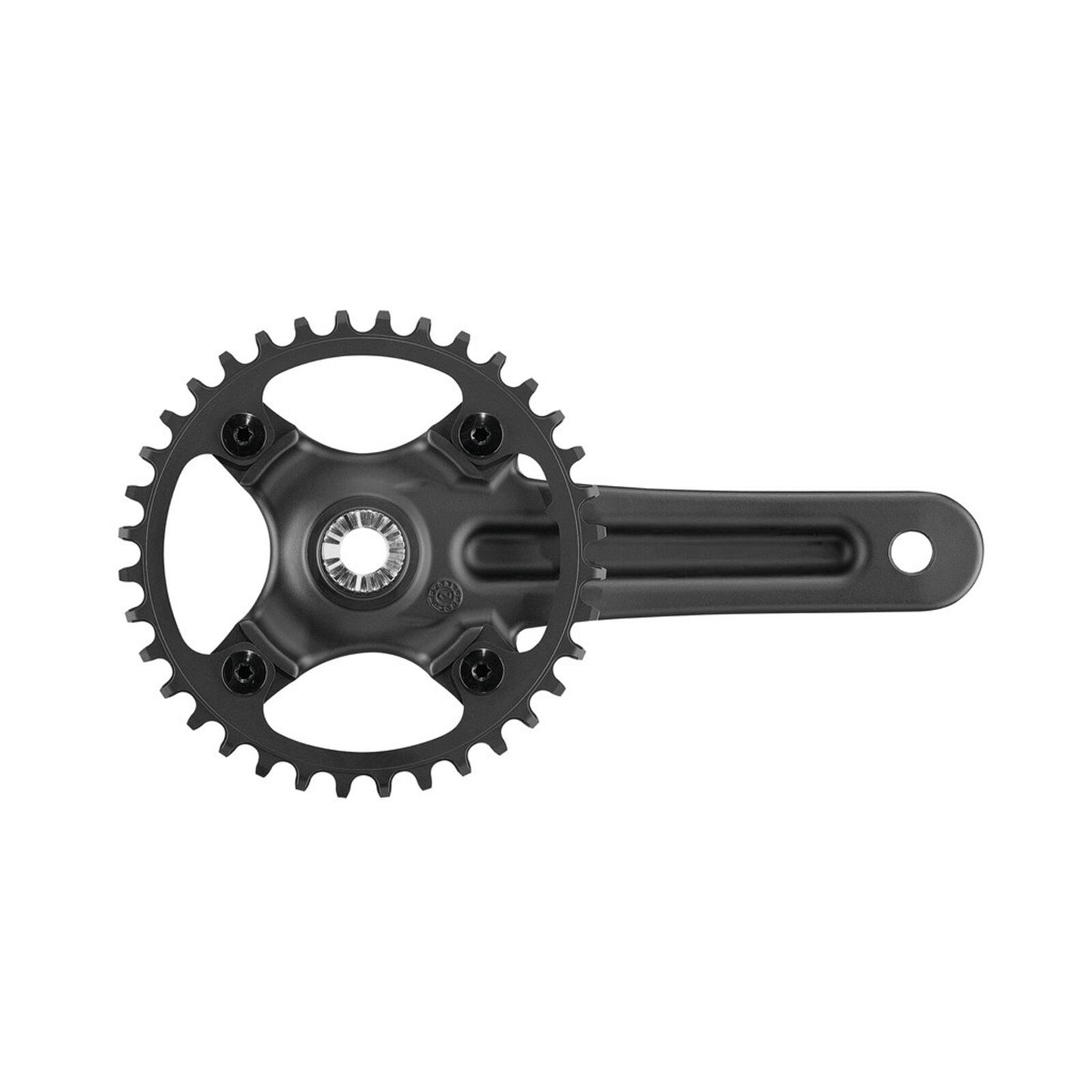 Campagnolo Ekar GT 1x13 korba 36t