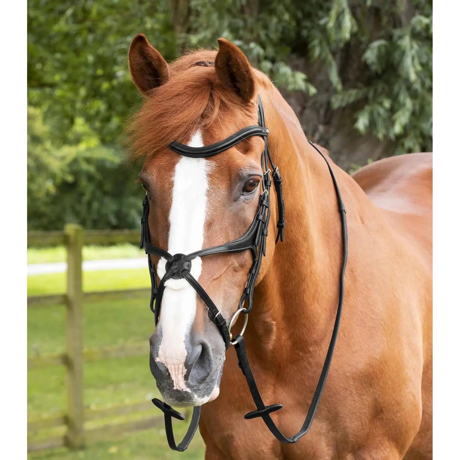 Gumowy renifer Premier Equine Diego Pony 50