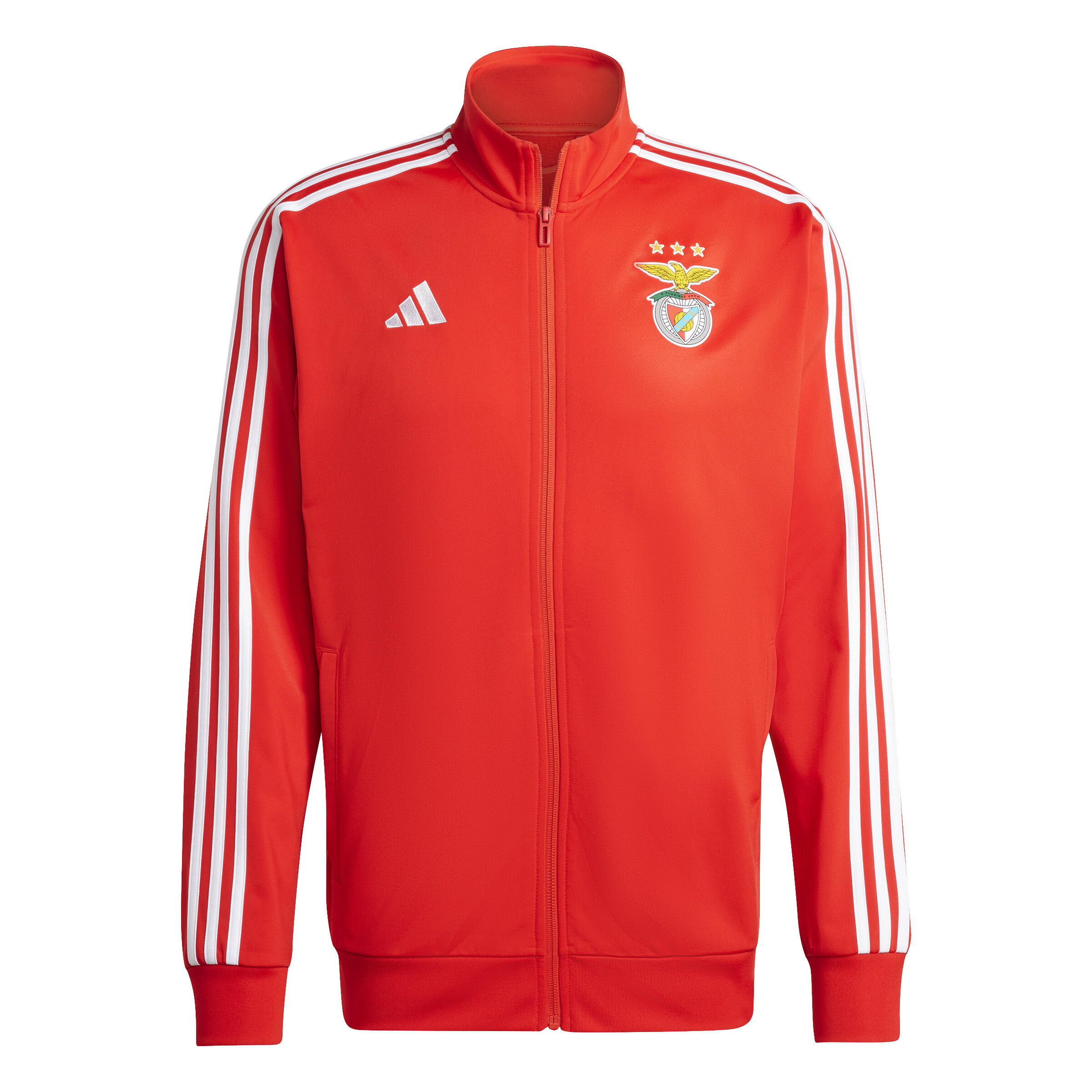 Kurtka z dresu Benfica Lisbonne DNA 2024/25