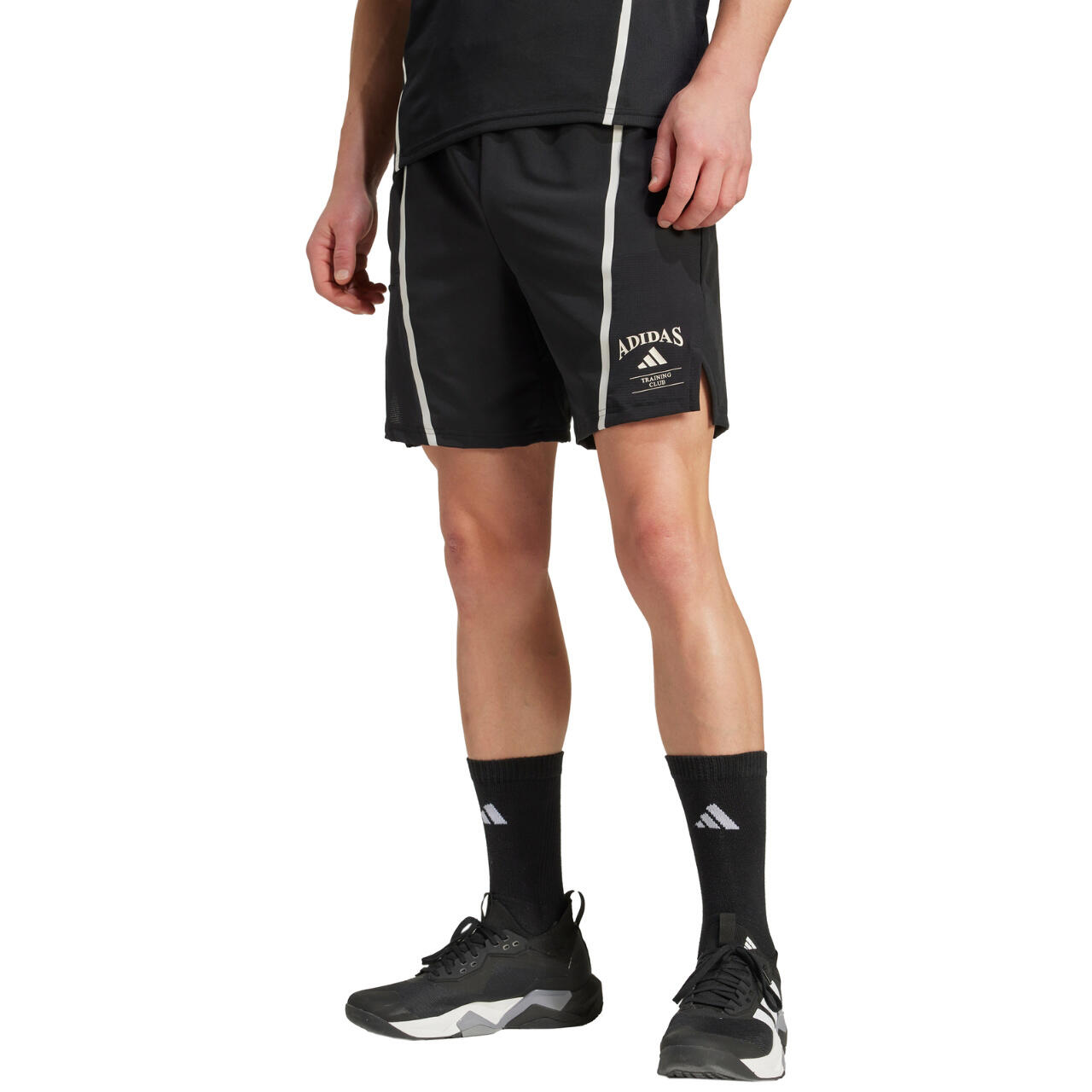 Spodenki męskie adidas Designed for Training Legacy Heritage