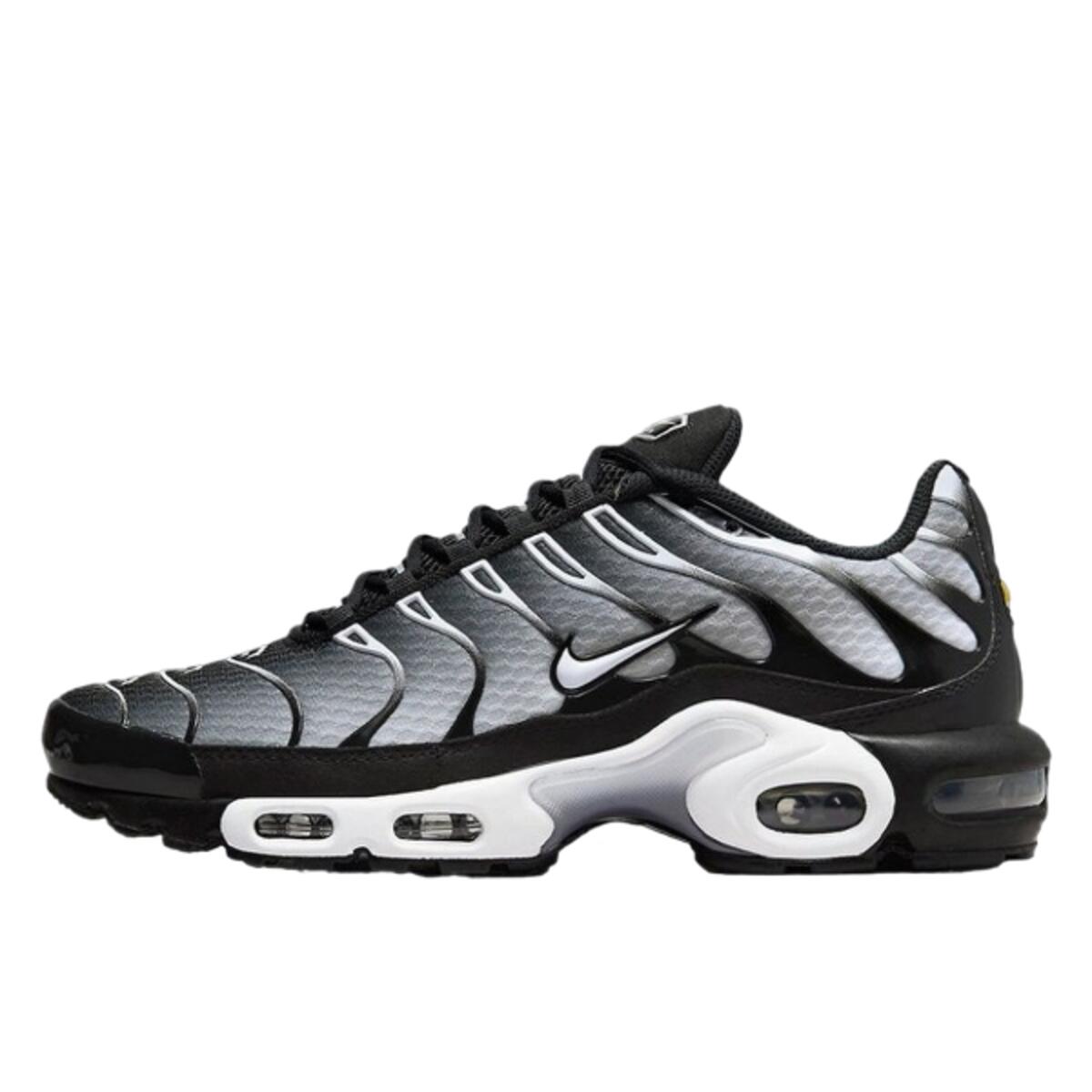 Nike Air Max Plus Black Metallic Silver