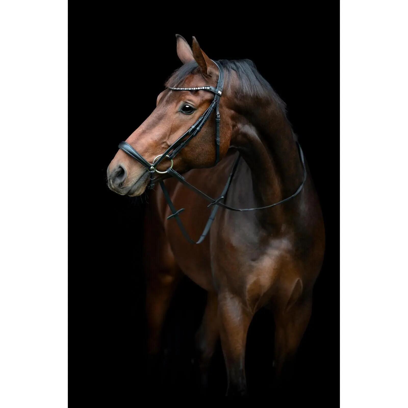 Kantar jeździecki z opadającym noszalem HorseGuard Cryll 25.2