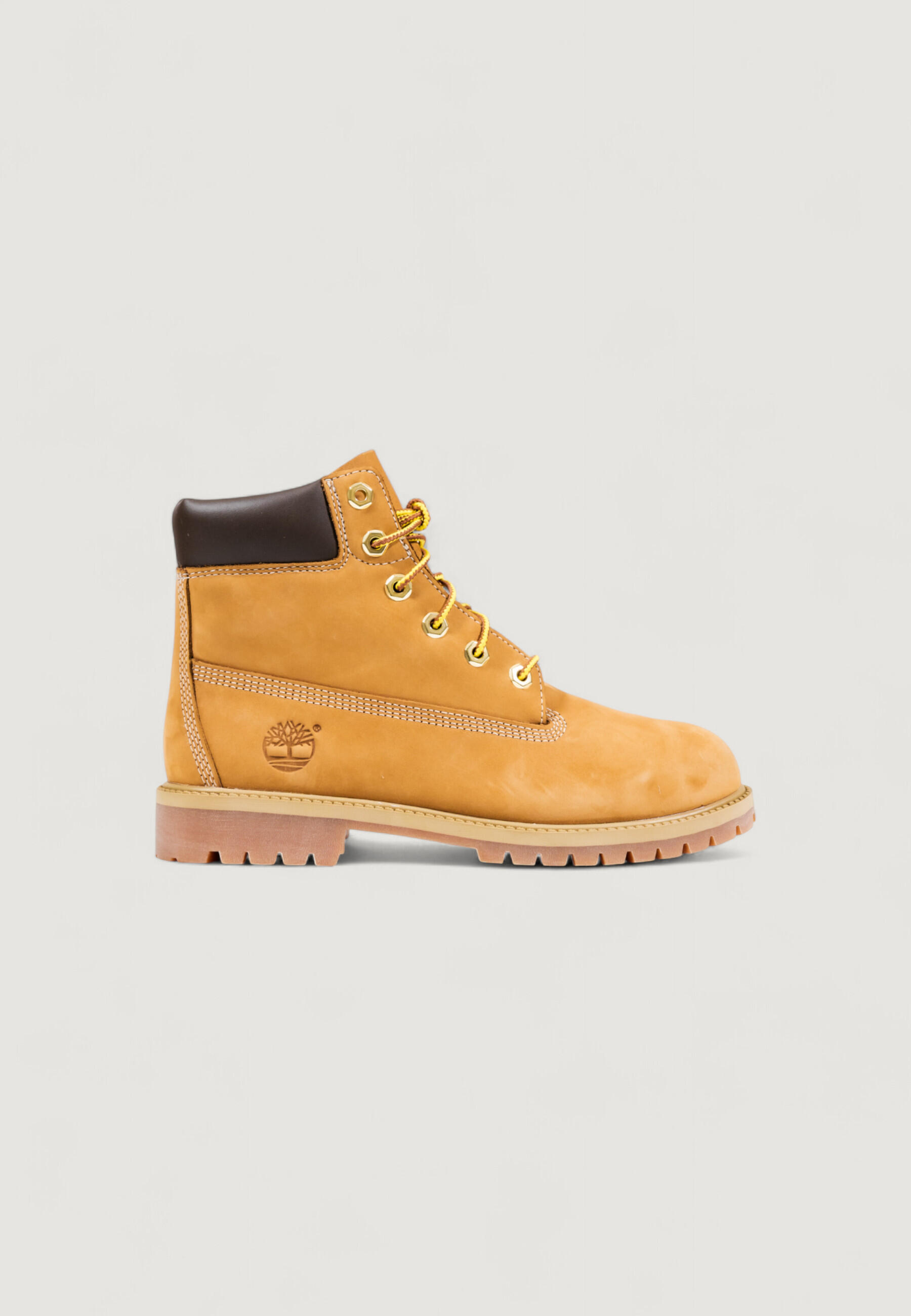 Buty alpinistyczne Kobieta TIMBERLAND PREM 6 IN LACE WATERPROOF BPPT Medium