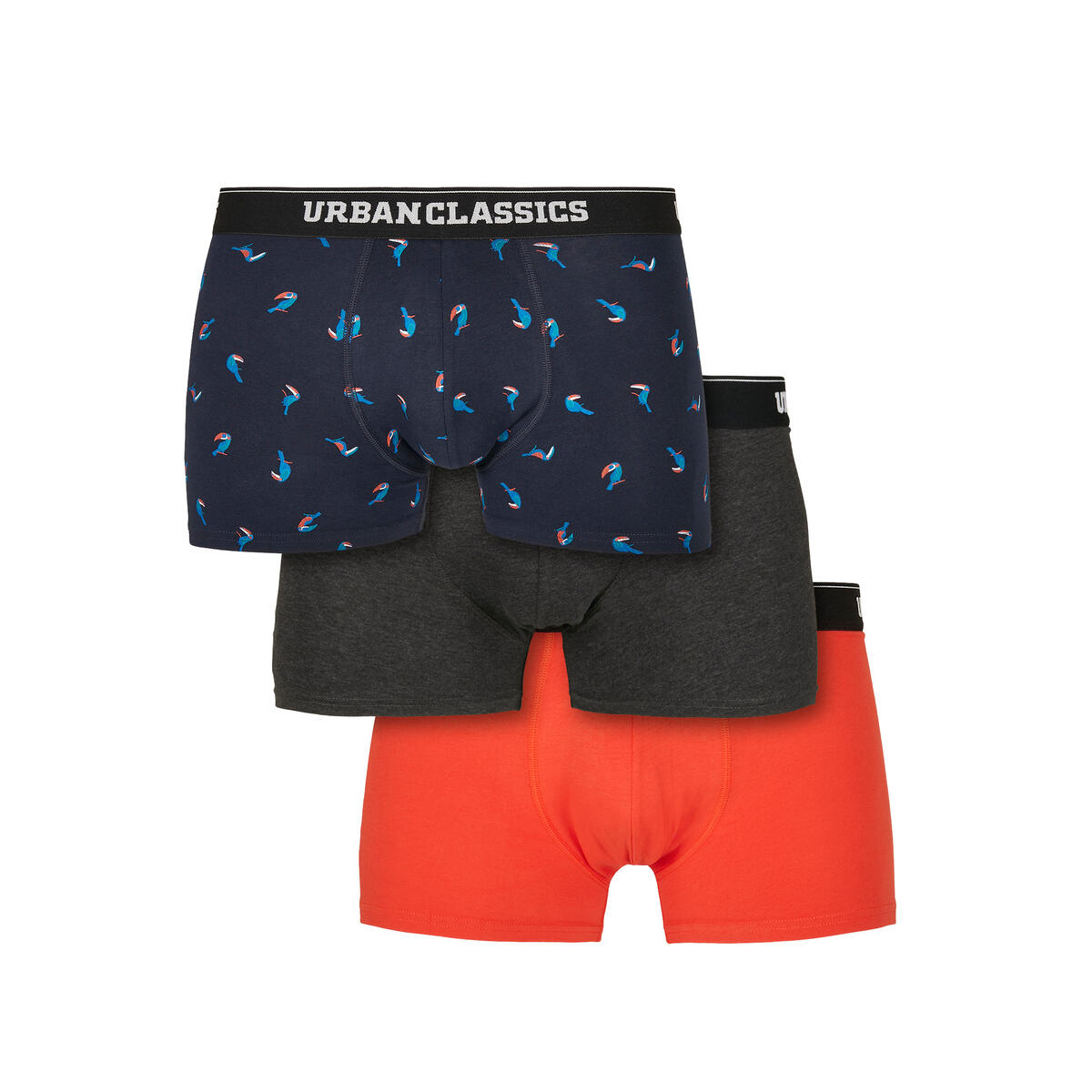 Bokserki Urban Classics (Grandes tailles) (x2)