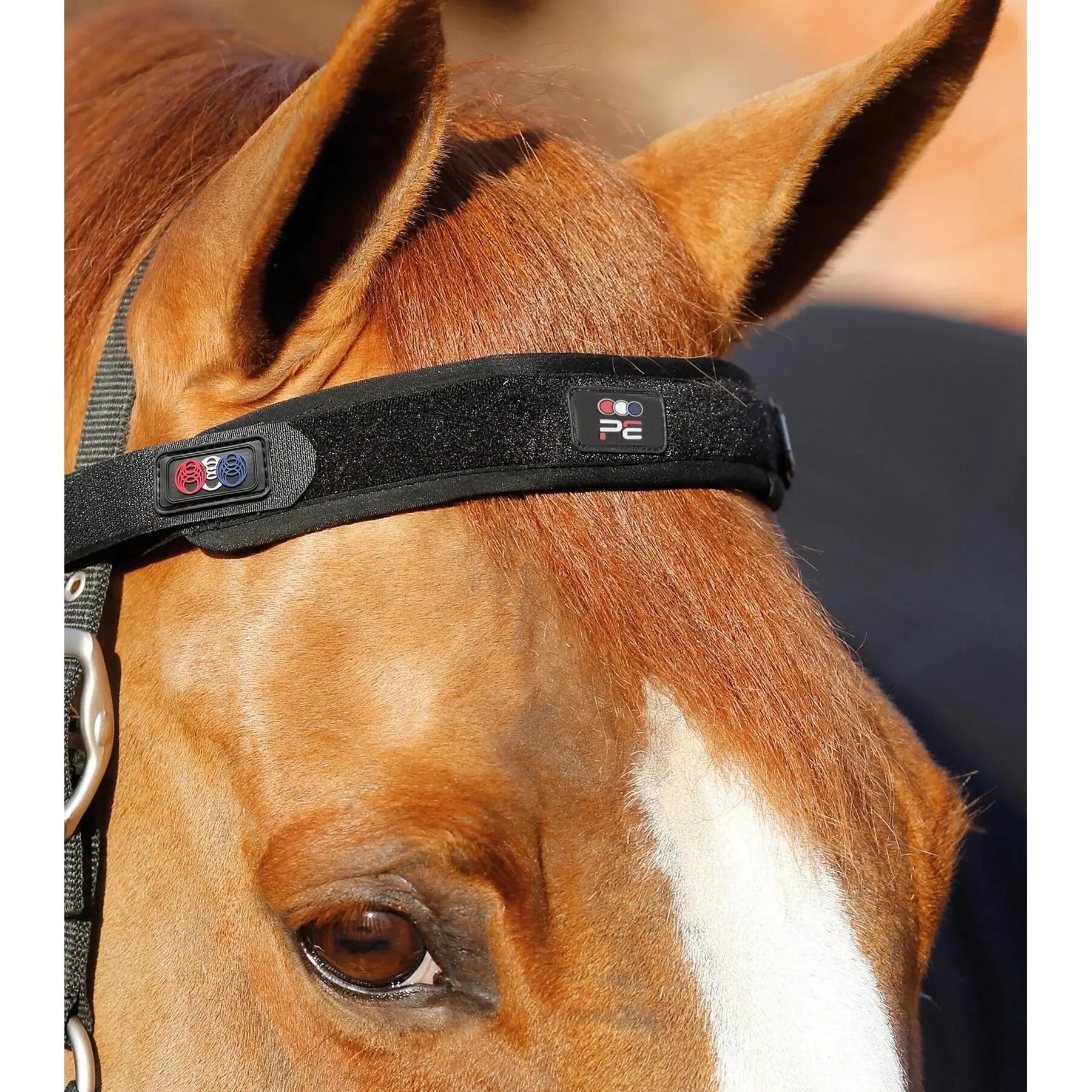 Magnetyczny Naczółek dla konia Premier Equine Magni-Teque