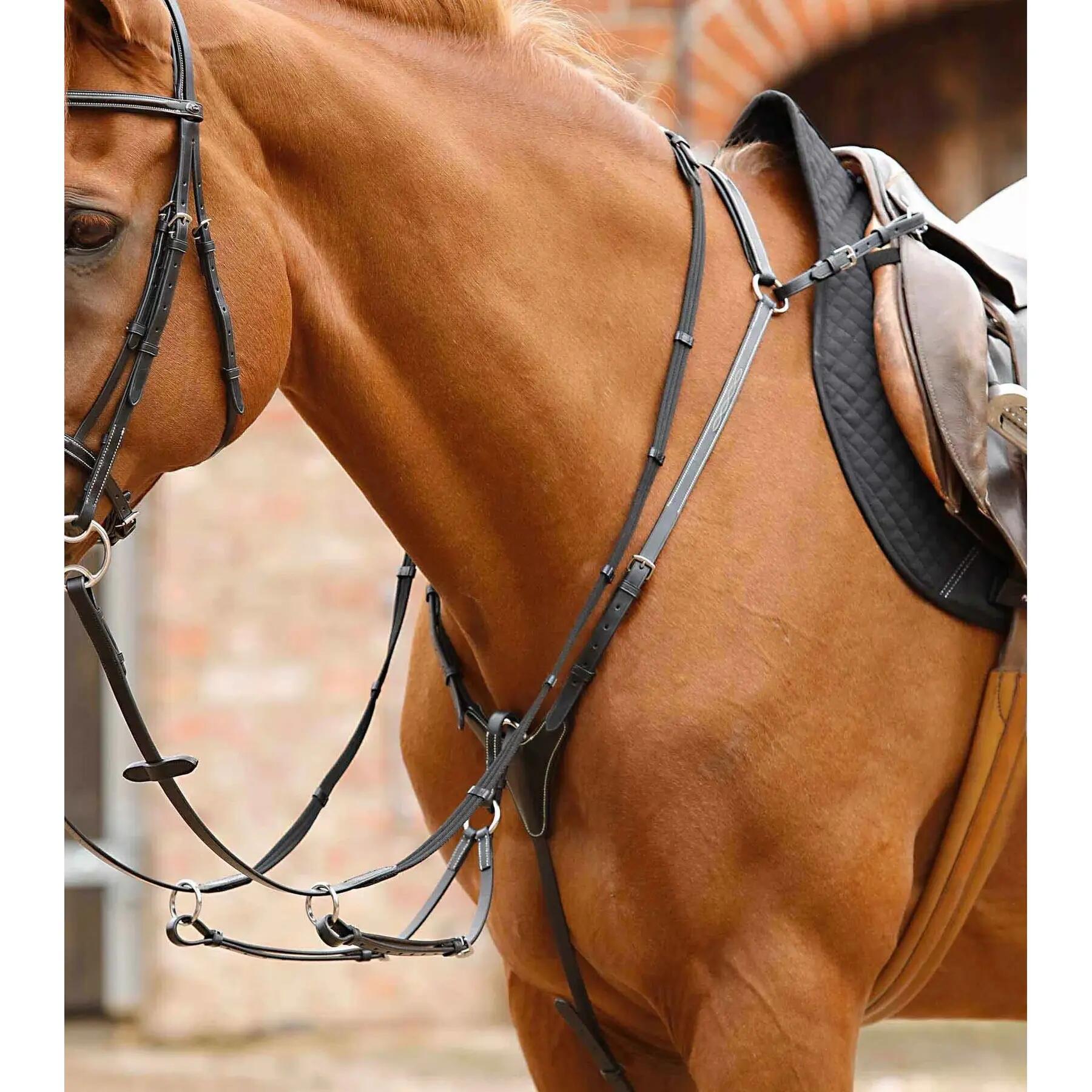 Napierśnik dla koni Premier Equine Norbello