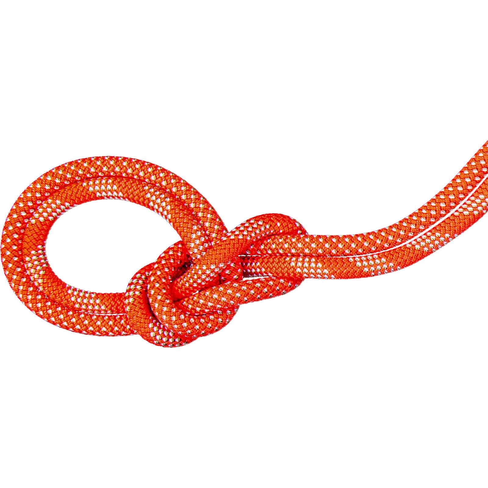 Lina wspinaczkowa 9.8 Crag Classic Rope Duodess
