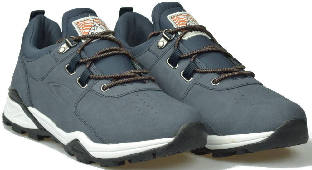 Buty sportowe dla mężczyzn Longs Peak Low