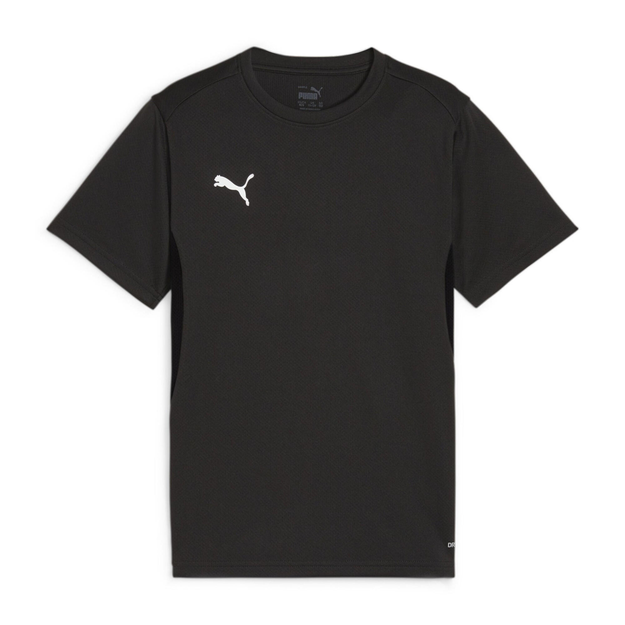 Koszulka dla dzieci Puma TeamGoal Jersey