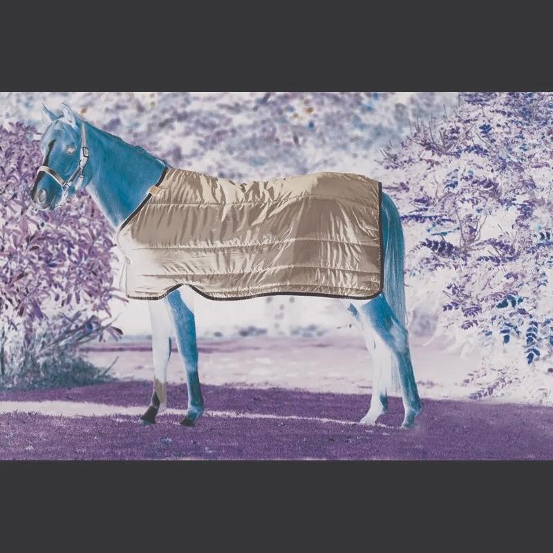 Podkładka do koca dla kucyka 100g Horseware