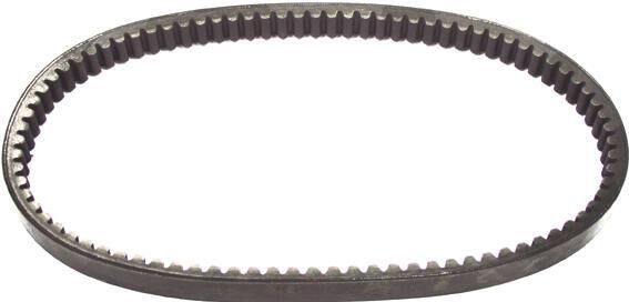 MALOSSI wzmocniony pas klinowy 22 x 830 mm