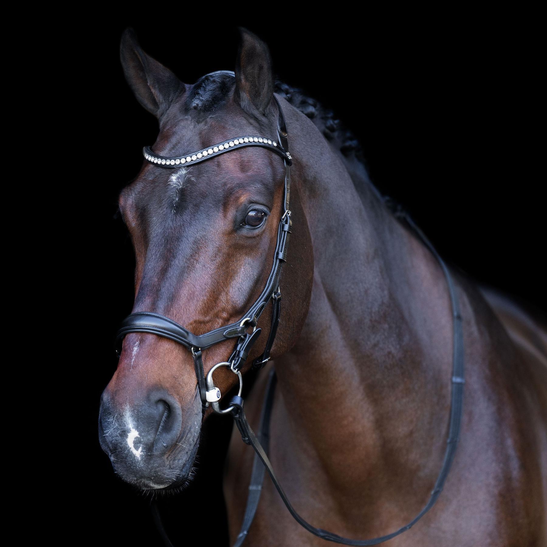 Uzda do jazdy konnej HV Polo Legacy Anatomique Deluxe
