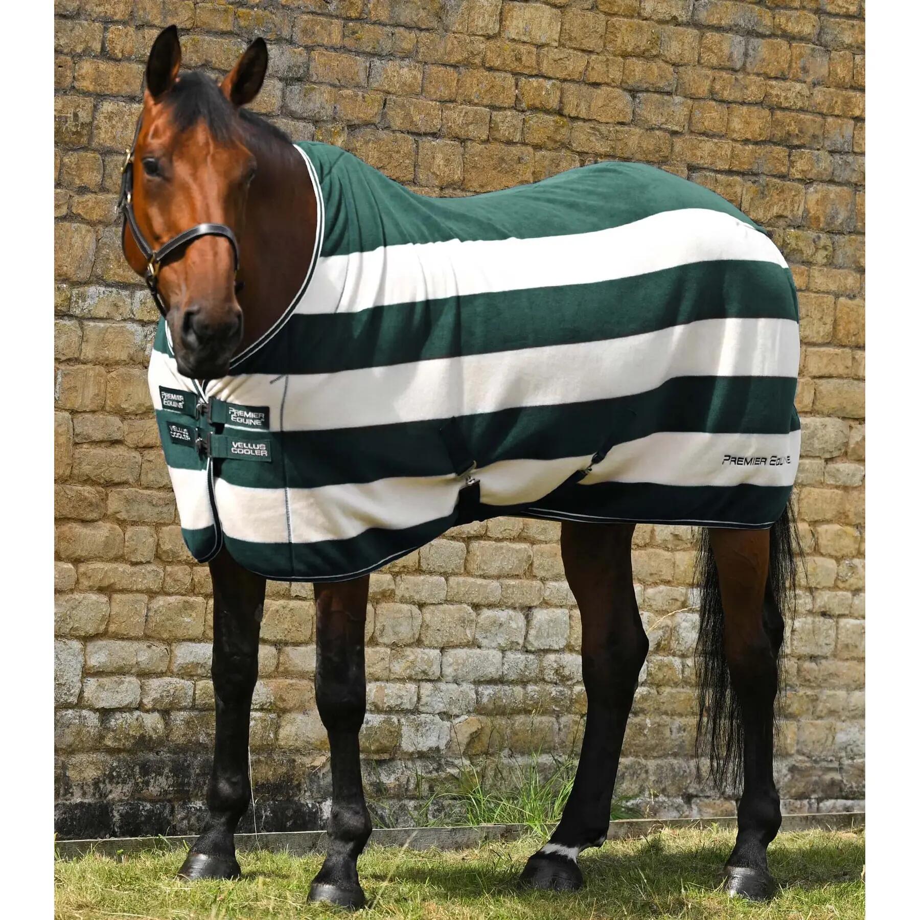 Derka osuszajca polarowa dla koni Premier Equine Vellus