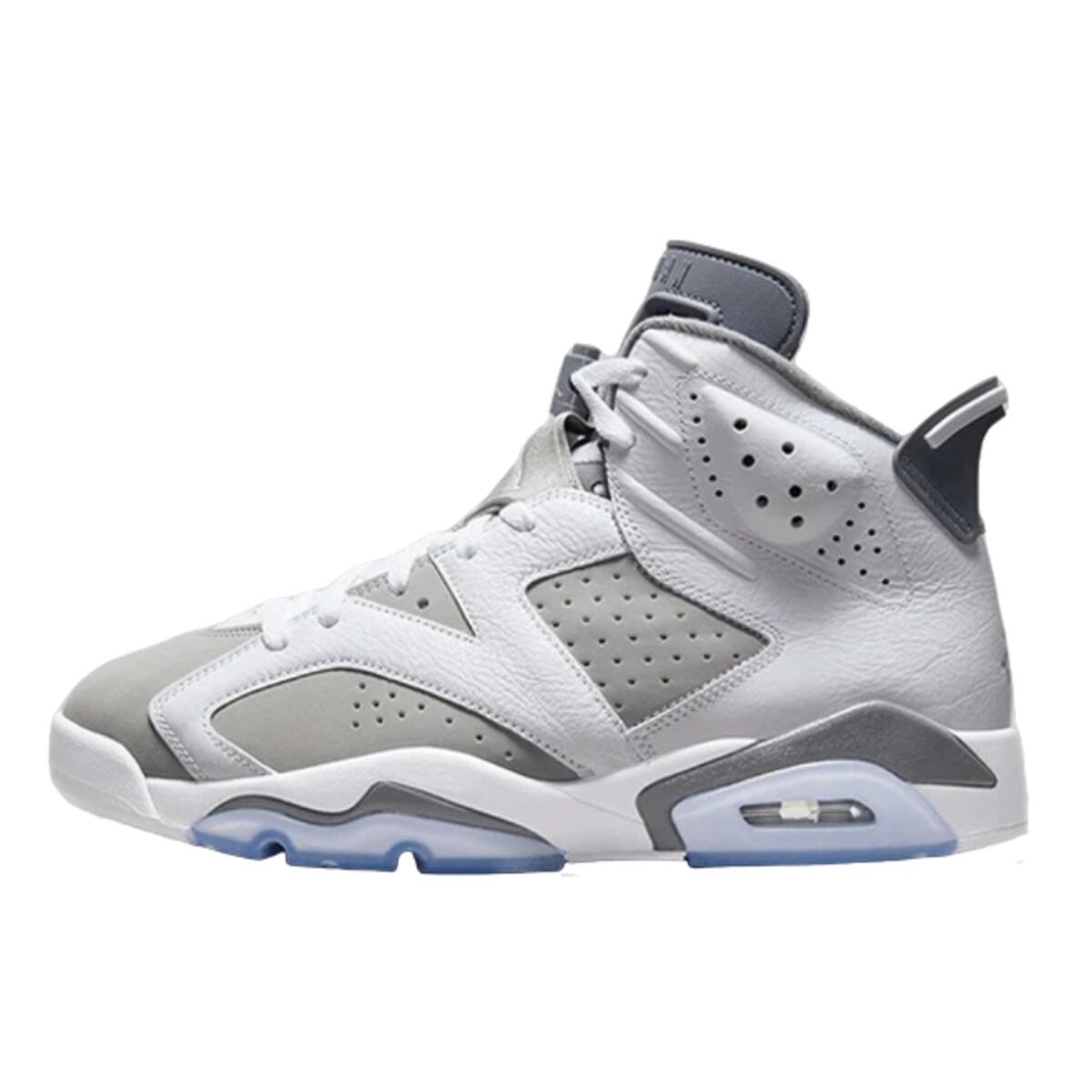 Air Jordan 6 Cool Grey