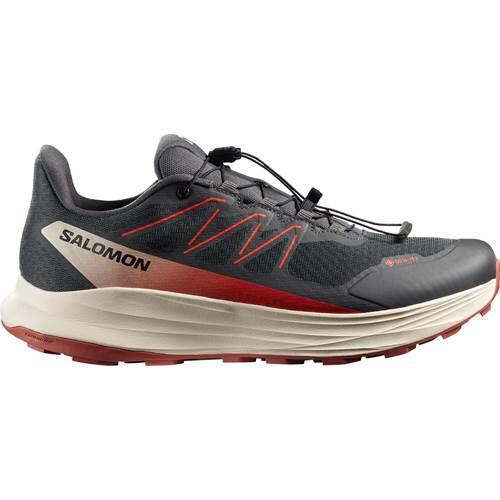 Buty do biegania męskie Salomon Alpharide 2 GTX