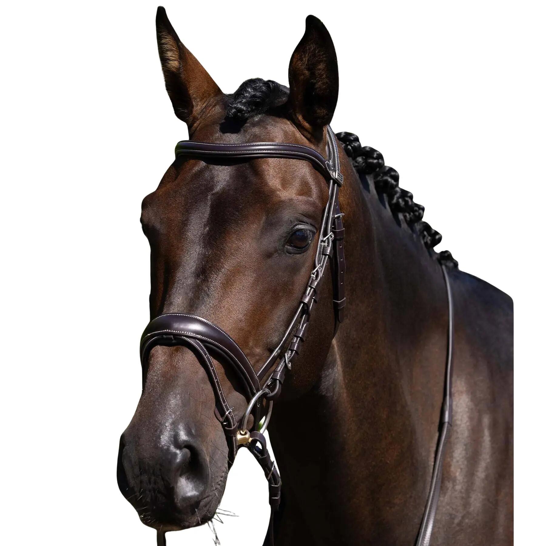 Rękawice do konia Premier Equine Cassano