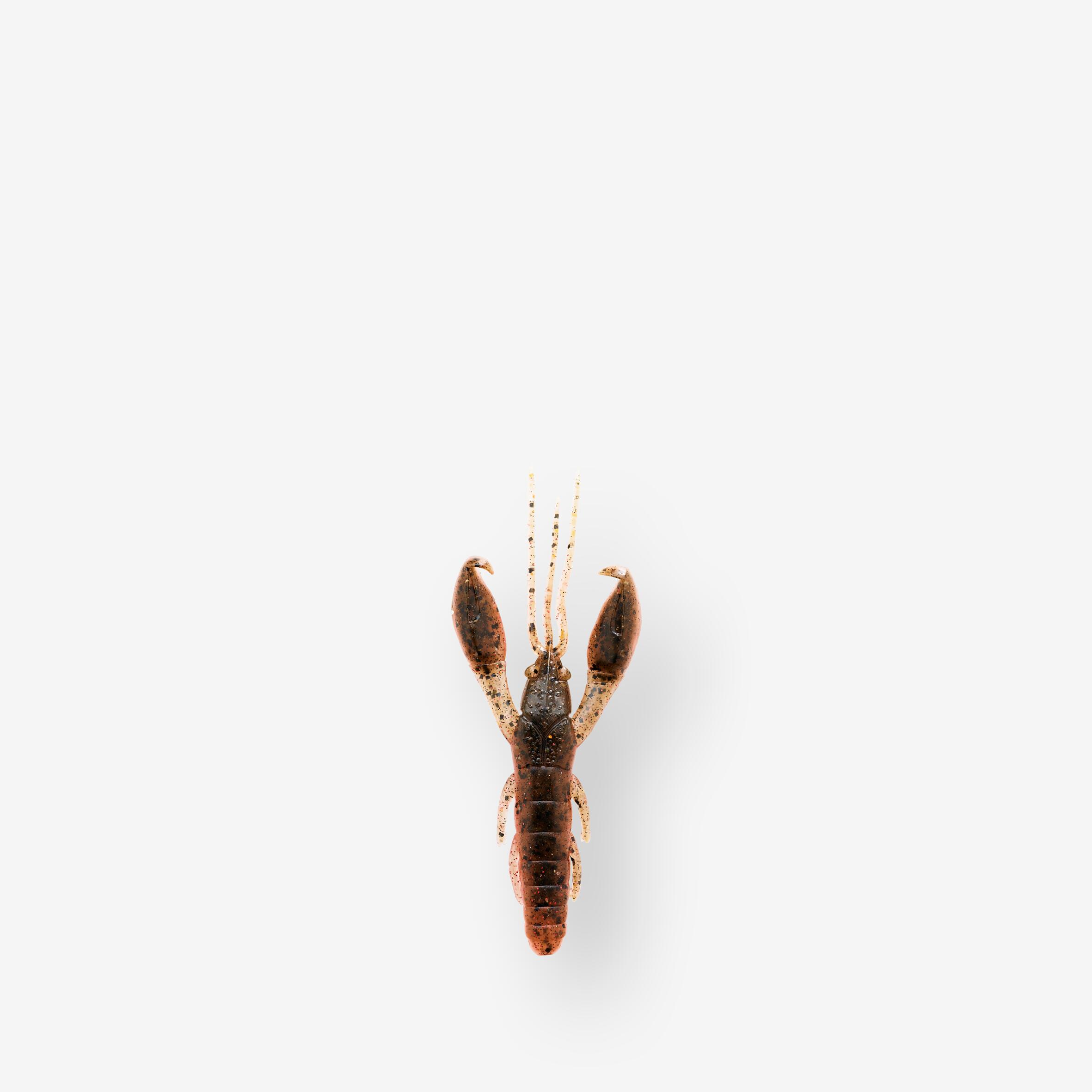 Przynęta miękka nasączona atraktorem Caperlan Yubari CRW 2 5cm young craw
