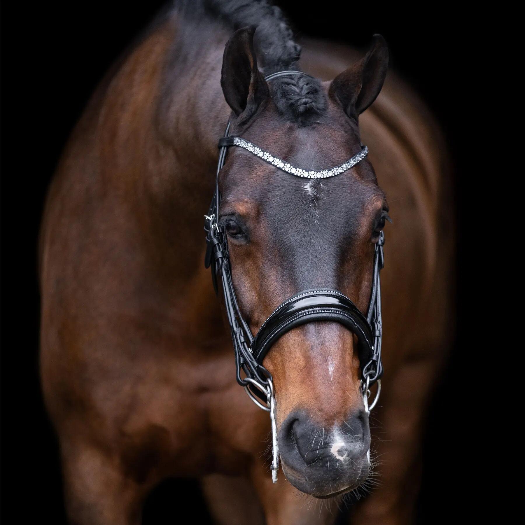 Uzda jeździecka Imperial Riding Olympia