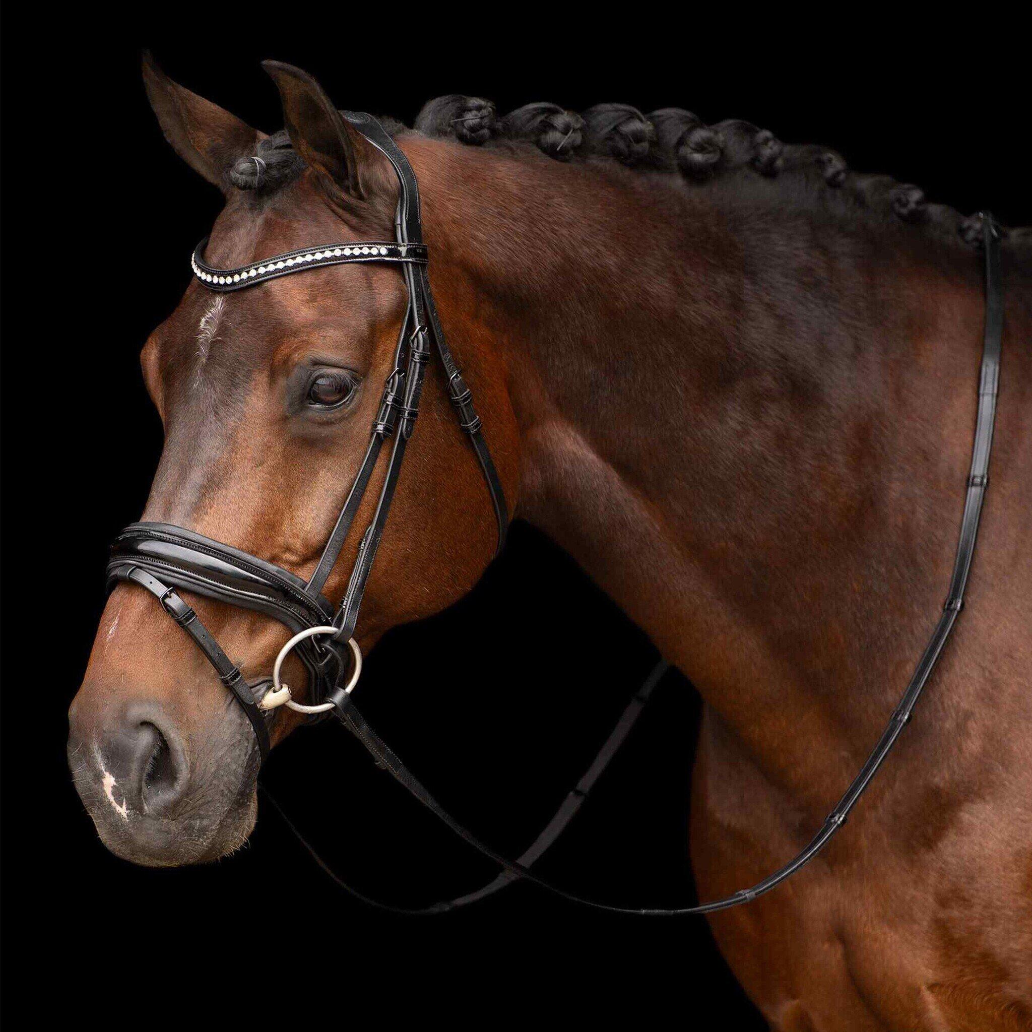 Kombinowana uzda jeździecka z paskiem na nosie Imperial Riding Athena