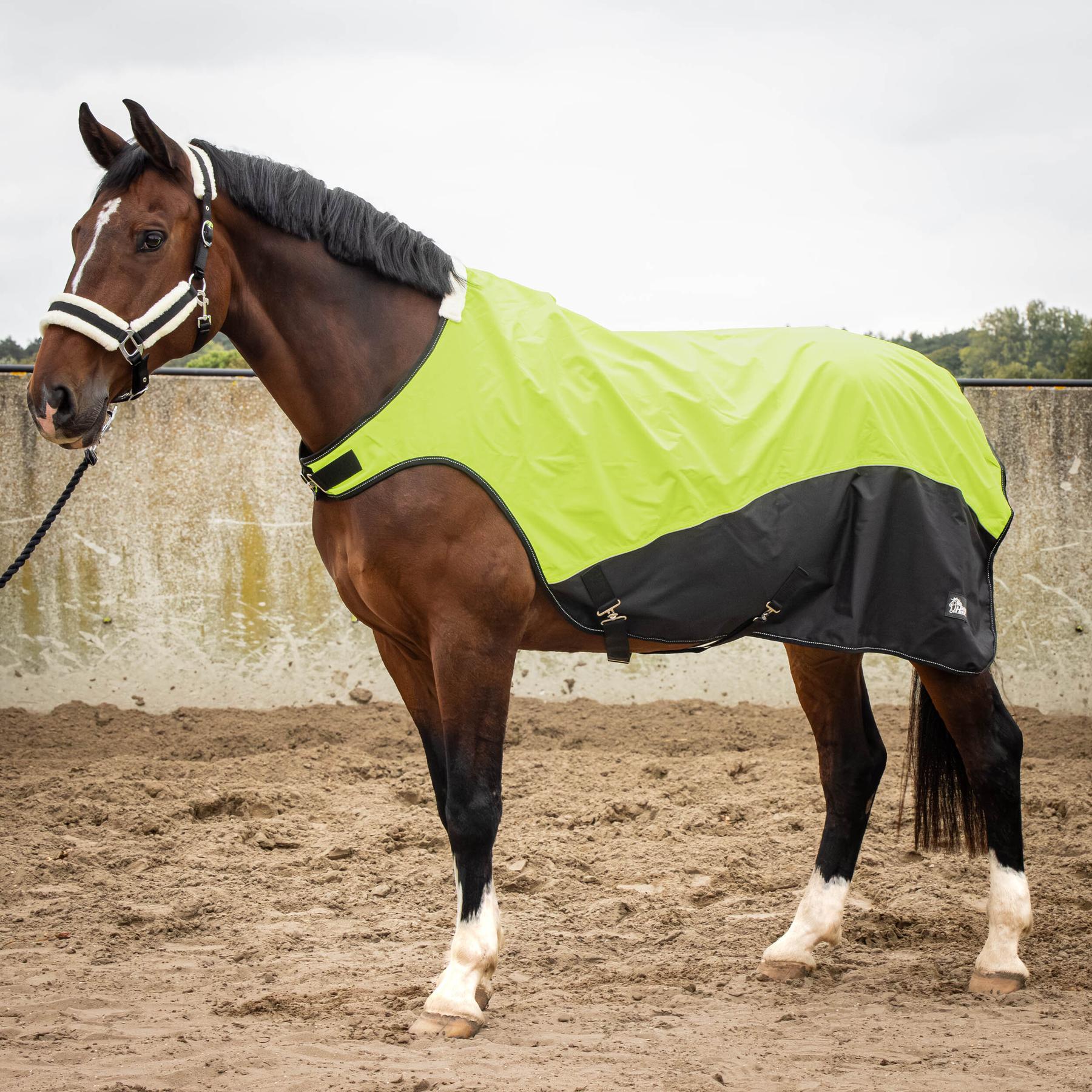 Refleksyjny, wodoodporny koc dla konia na spacer Harry's Horse 0g