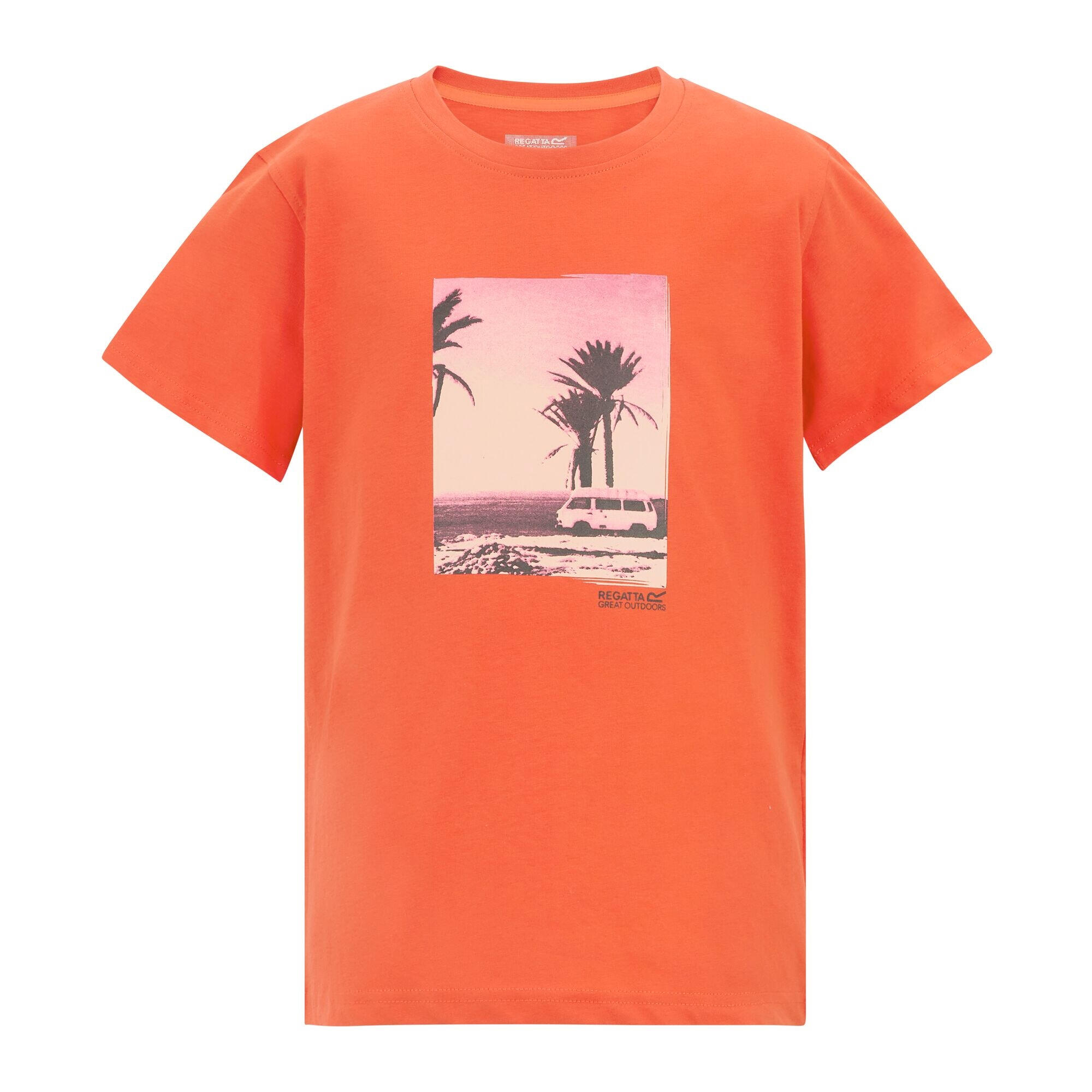 T-shirt Dziecięca Z Palmą Bosley